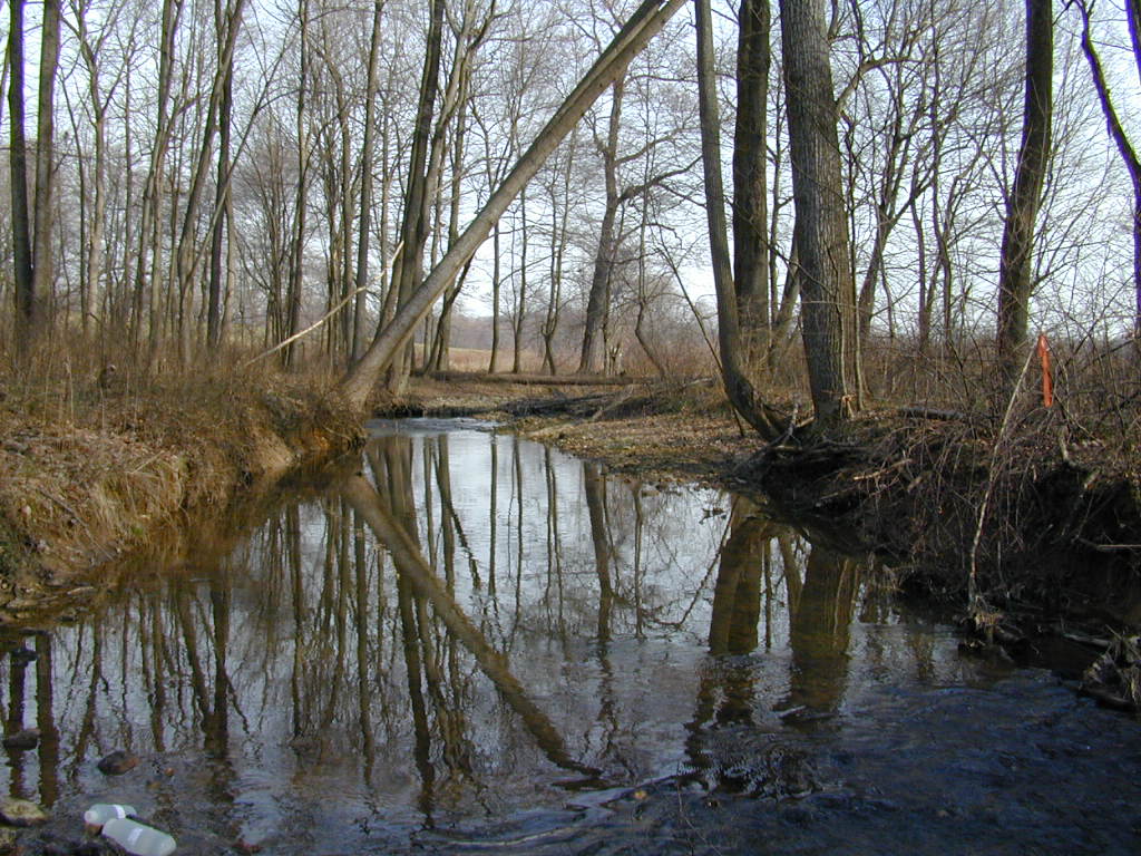 Field photo showing stream conditions at site BRIG-206-R-2000-02_0801