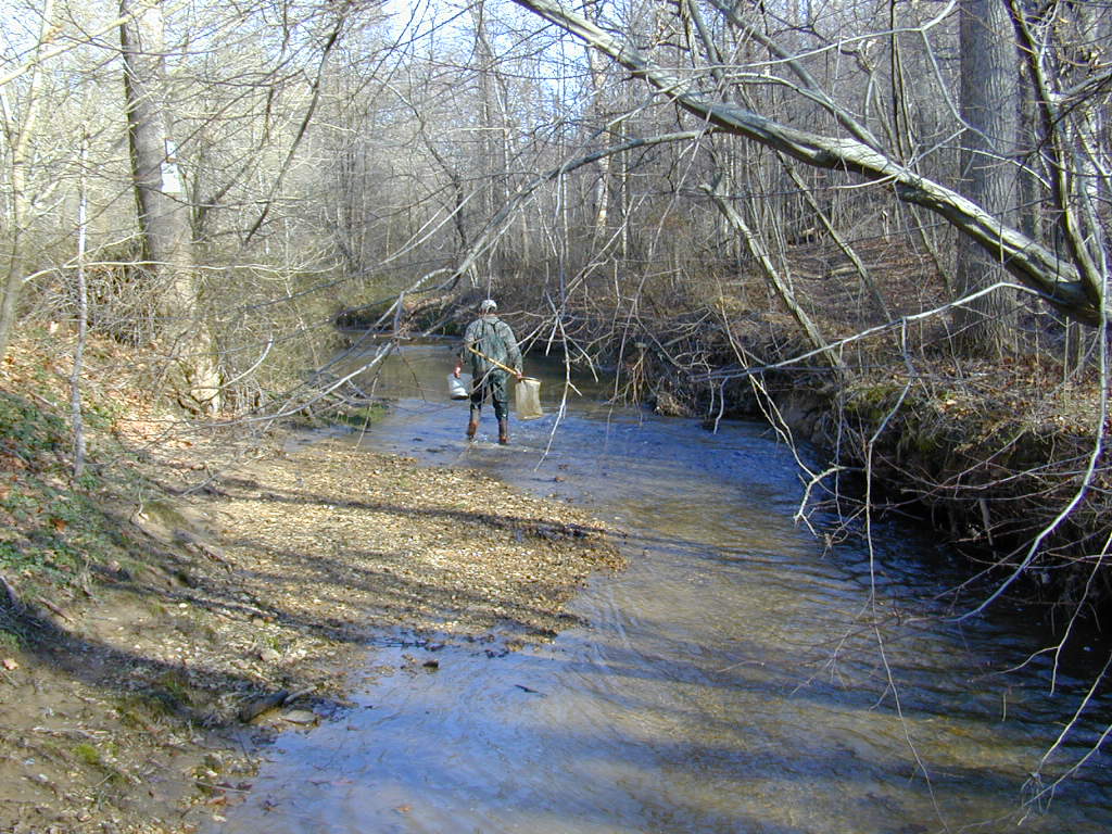 Field photo showing stream conditions at site BRIG-212-R-2000-01_0811