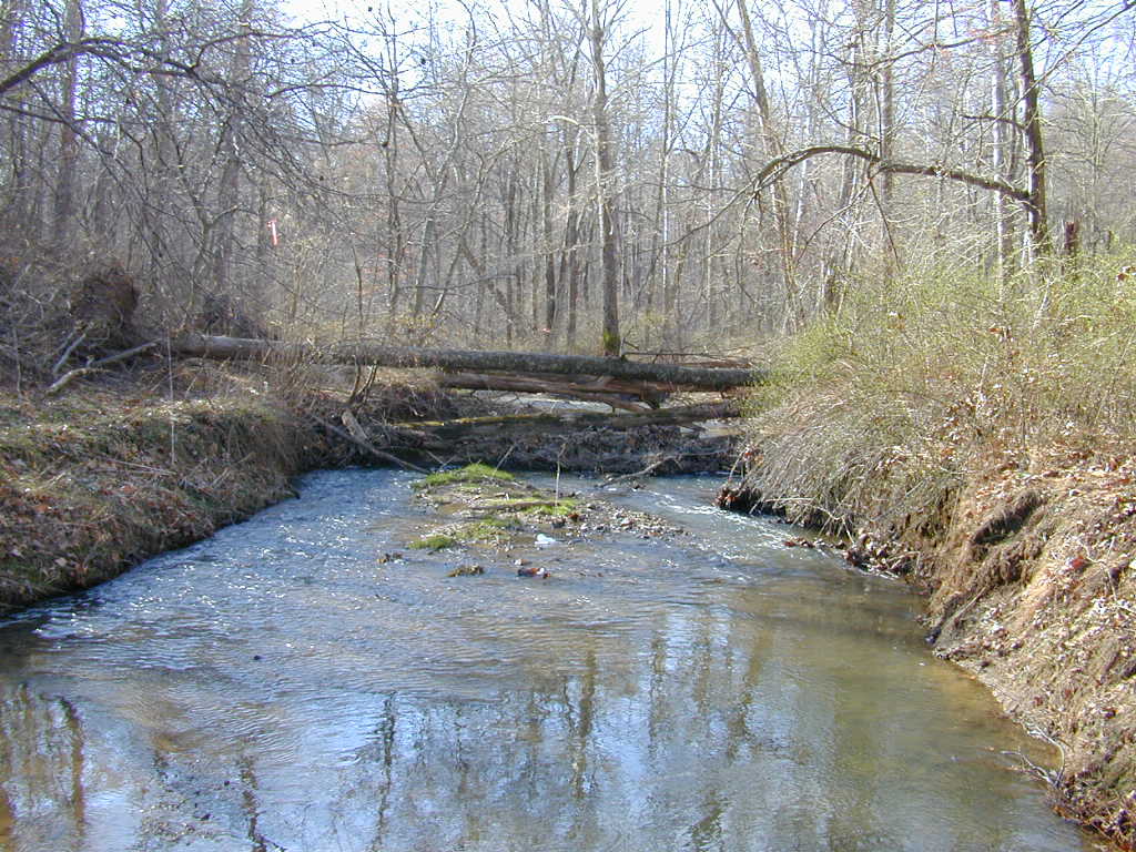 Field photo showing stream conditions at site BRIG-212-R-2000-02_0812