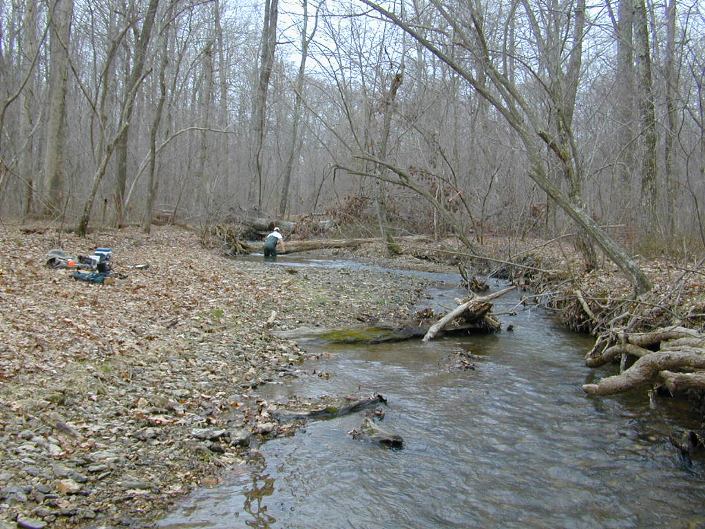 Field photo showing stream conditions at site BRIG-218-R-2000-01_0802