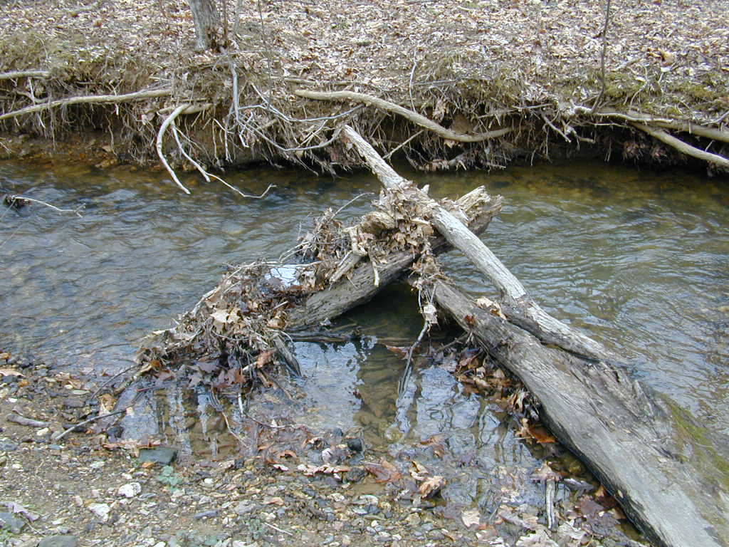 Field photo showing stream conditions at site BRIG-218-R-2000-02_0803
