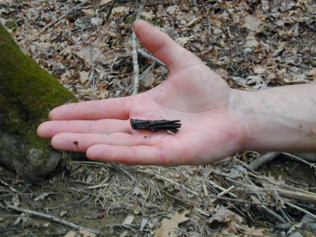 Field photo showing stream conditions at site BRIG-218-R-2000-04_0805
