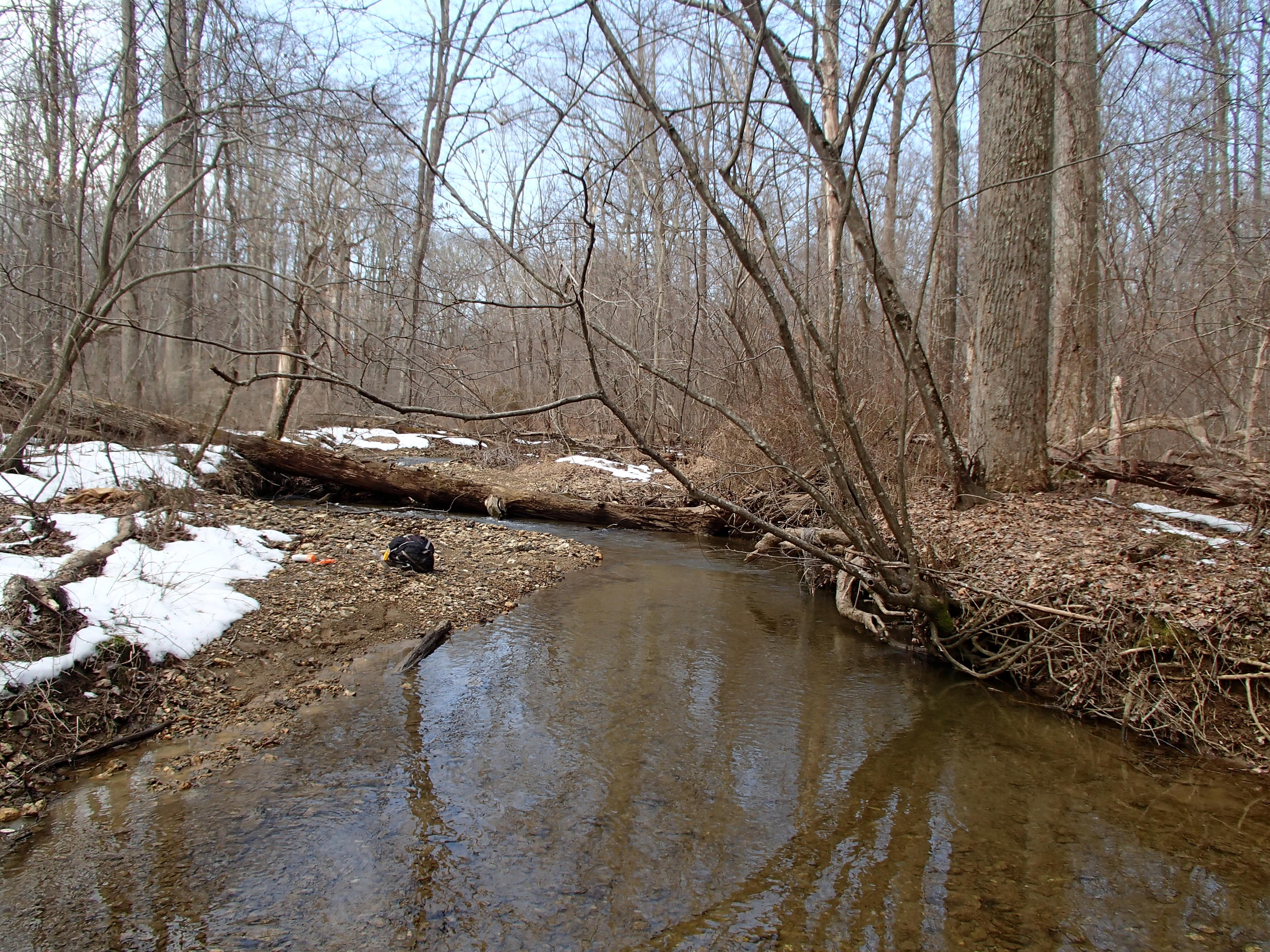 Field photo showing stream conditions at site BRIG-218-R-2014-1