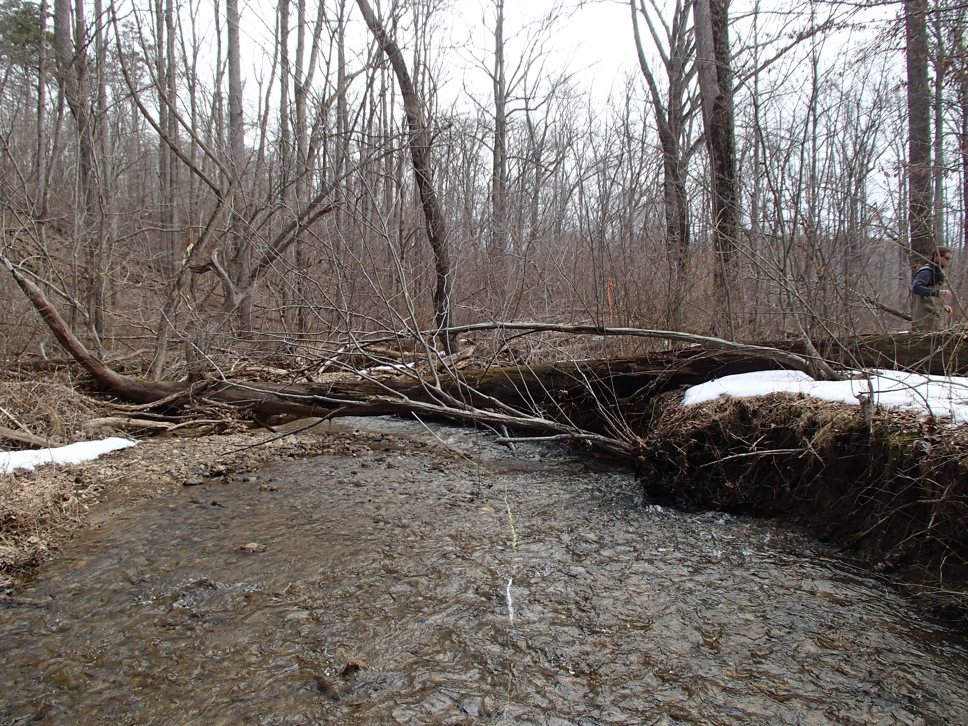 Field photo showing stream conditions at site BRIG-218-R-2014-2