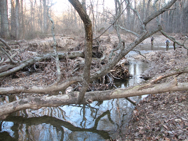 Field photo showing stream conditions at site BRIG-301-A-2008-1