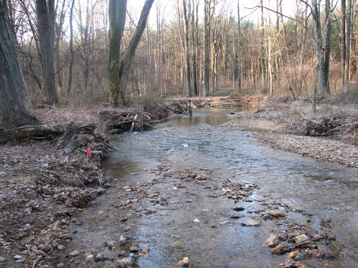 Field photo showing stream conditions at site BRIG-301-A-2008-2