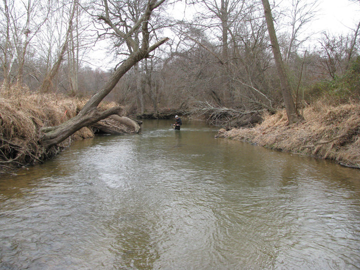 Field photo showing stream conditions at site BRIG-301-R-2009-1