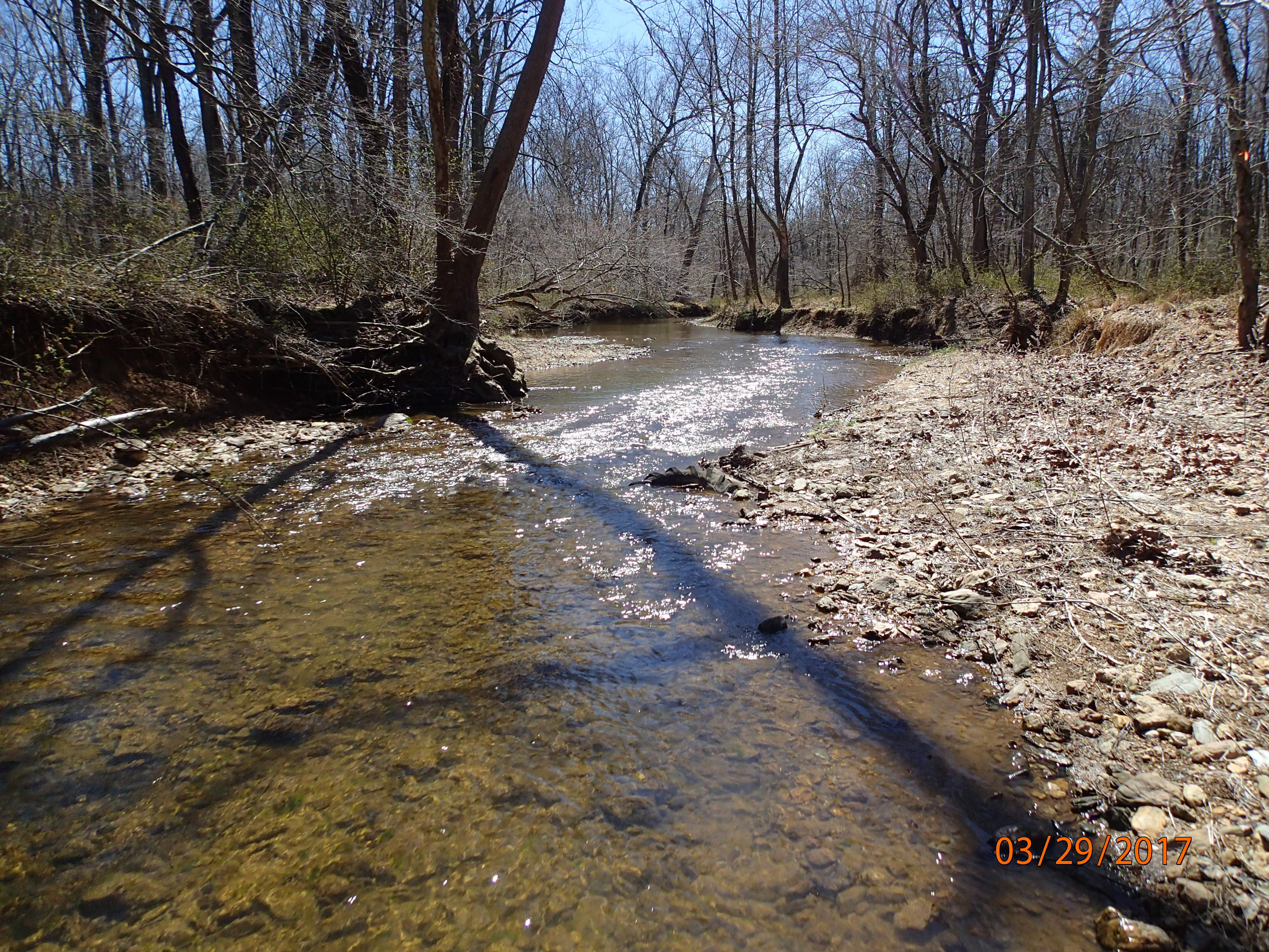 Field photo showing stream conditions at site BRIG-301-X-2017-MidpointDownstream
