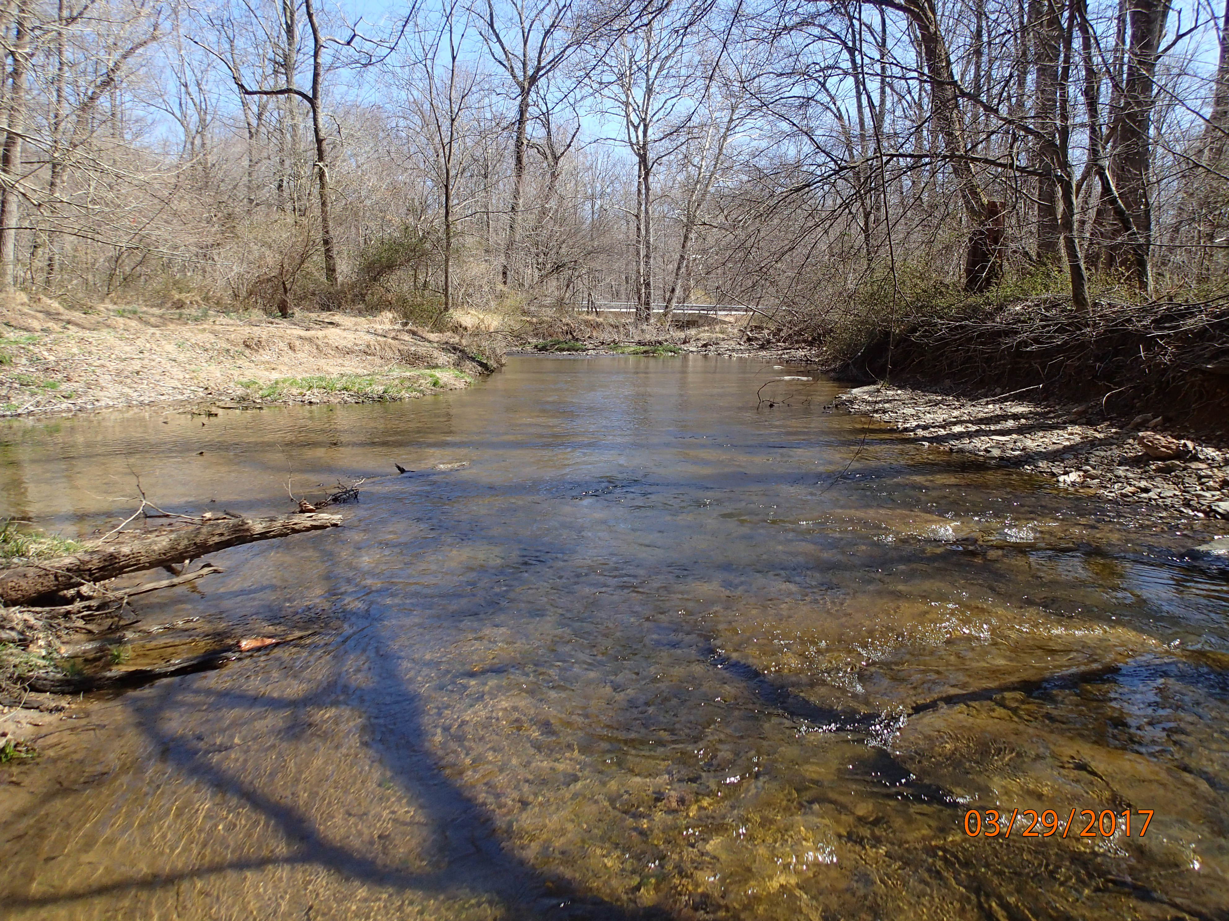 Field photo showing stream conditions at site BRIG-302-X-2017-MidpointDownstream