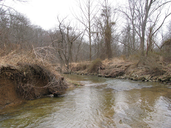 Field photo showing stream conditions at site BRIG-304-R-2009-1