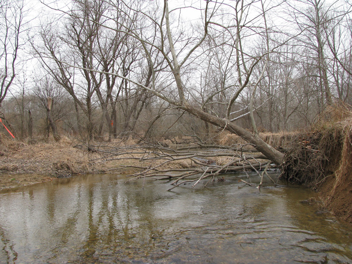 Field photo showing stream conditions at site BRIG-304-R-2009-2