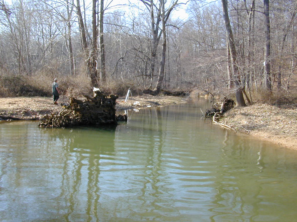 Field photo showing stream conditions at site BRIG-307-R-2000-01_0796