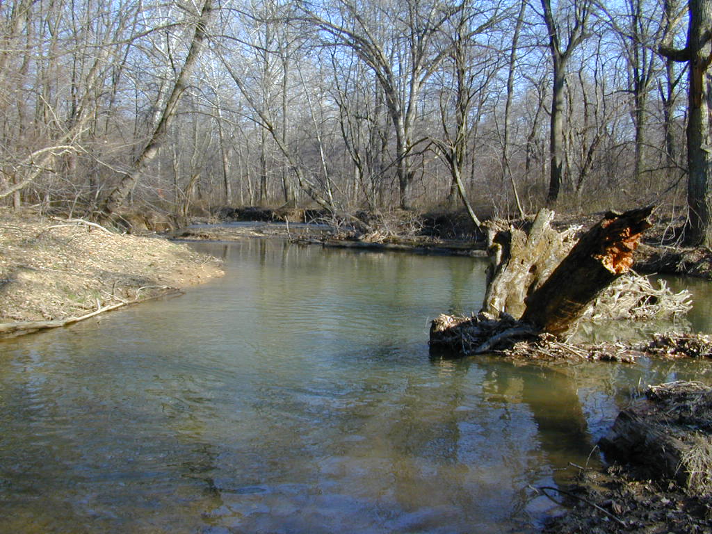 Field photo showing stream conditions at site BRIG-307-R-2000-02_0797