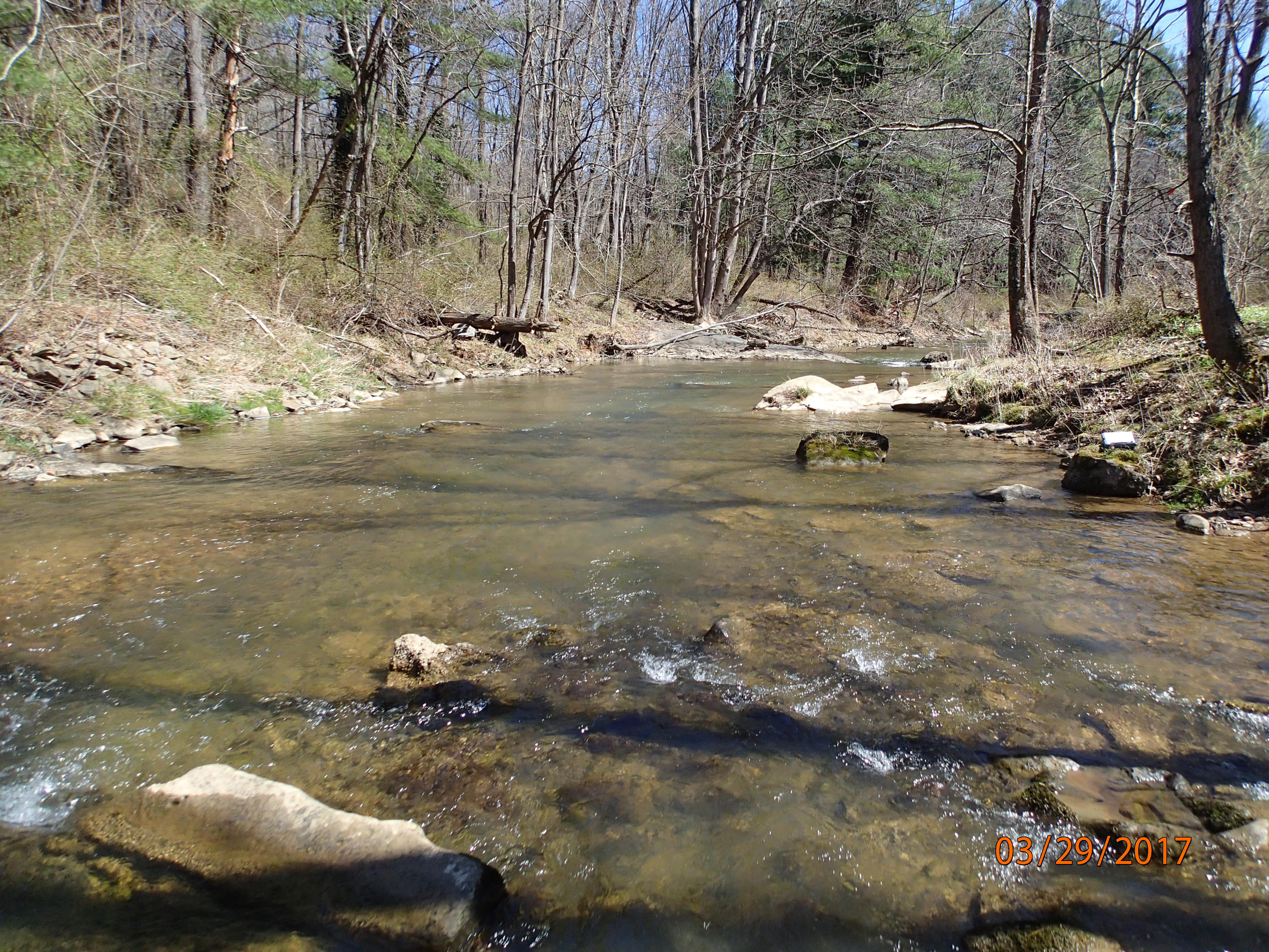 Field photo showing stream conditions at site BRIG-307-X-2017-MidpointDownstream