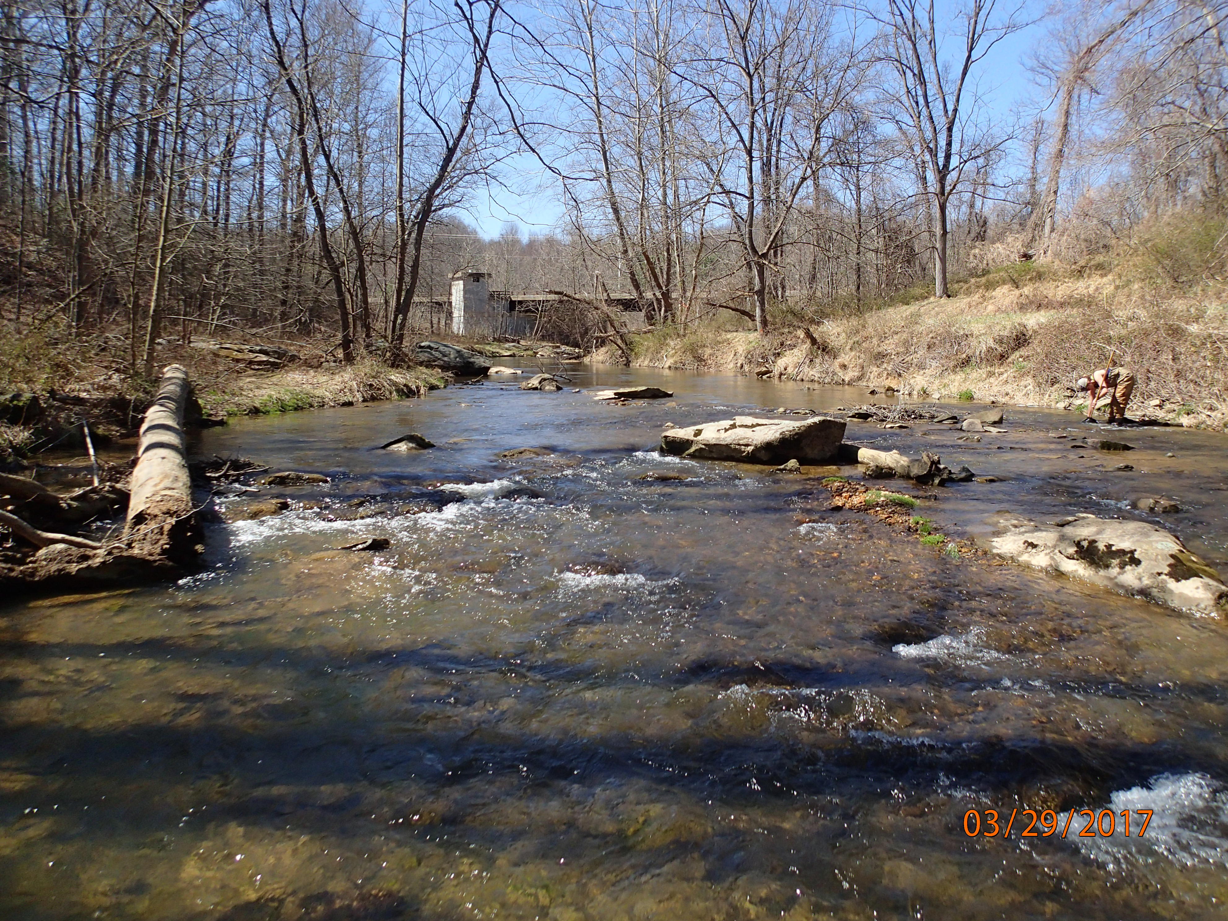 Field photo showing stream conditions at site BRIG-307-X-2017-MidpointUpstream