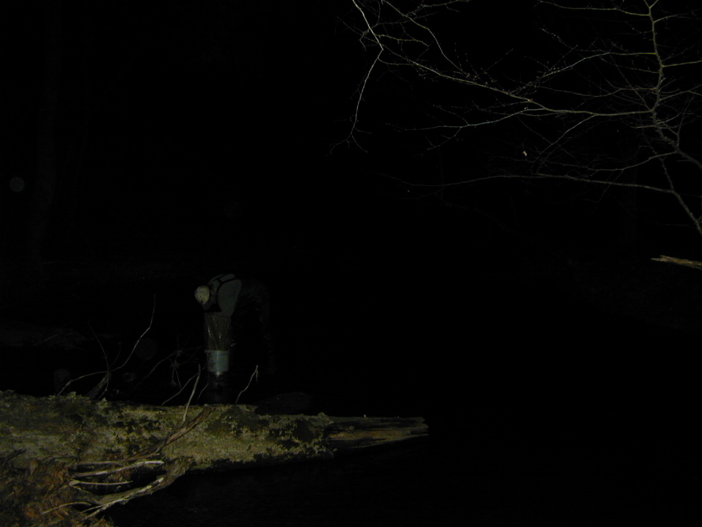 Field photo showing stream conditions at site BRIG-308-R-2000-01_0799
