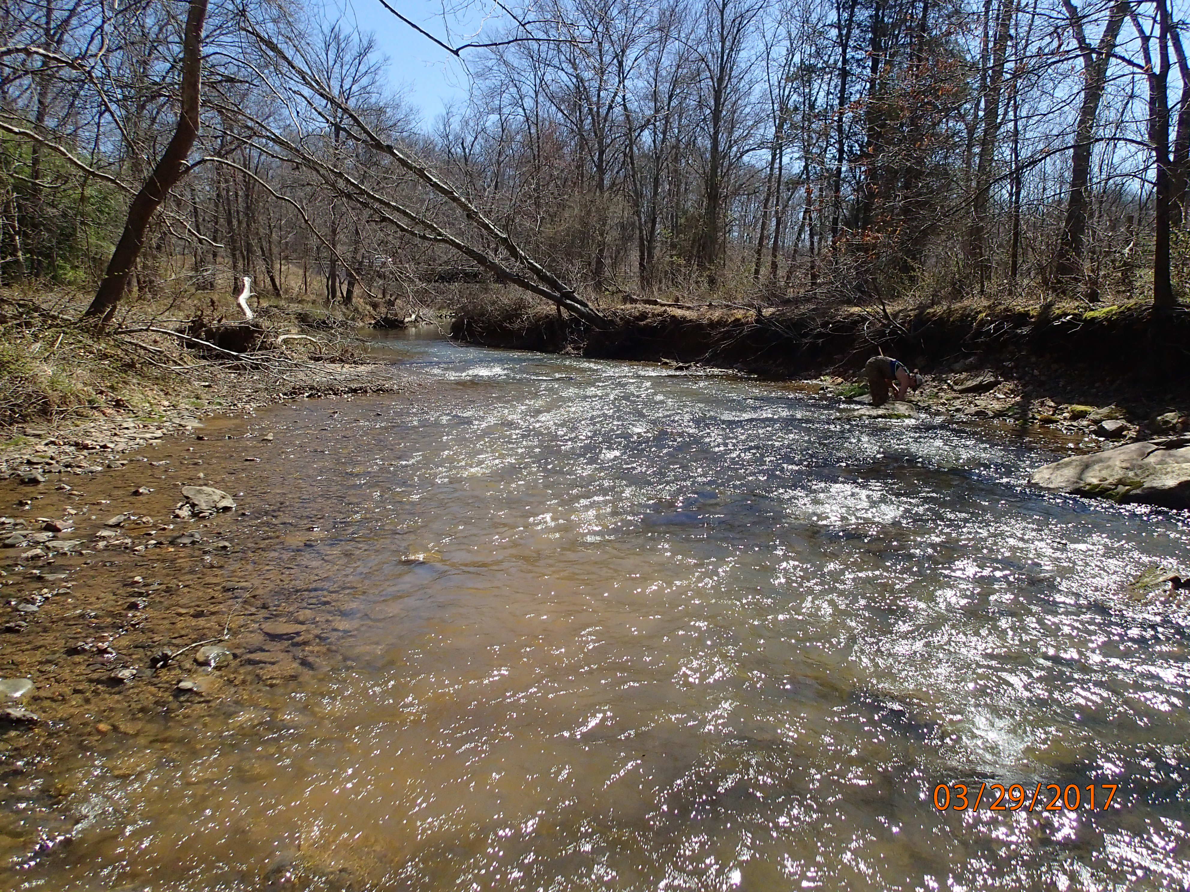 Field photo showing stream conditions at site BRIG-308-X-2017-MidpointDownstream
