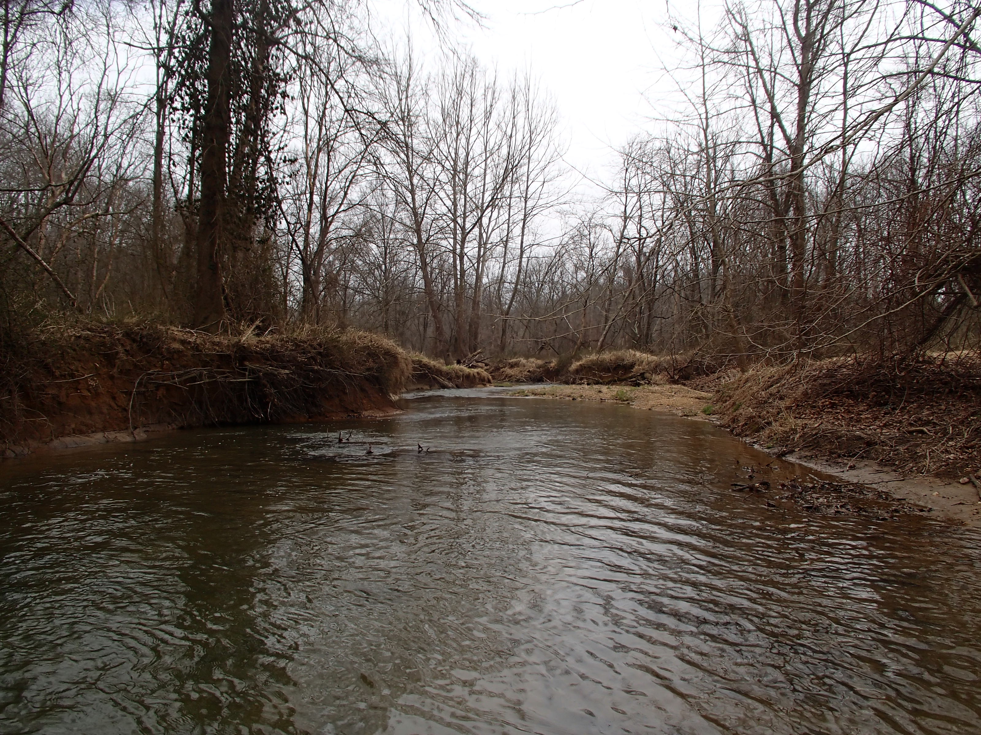 Field photo showing stream conditions at site BRIG-312-R-2017-MidpointLookingDownstream