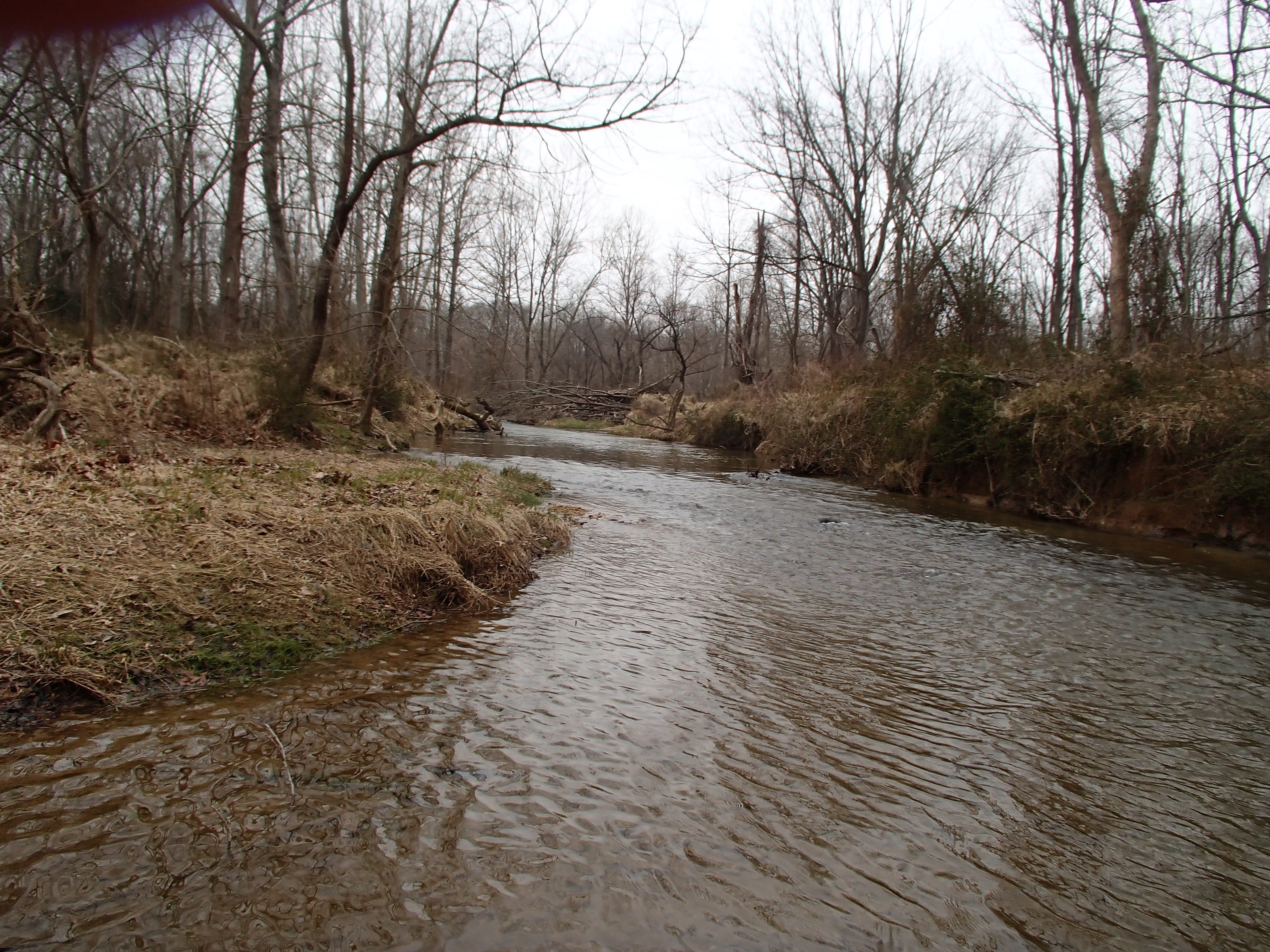 Field photo showing stream conditions at site BRIG-312-R-2017-MidpointLookingUpstream