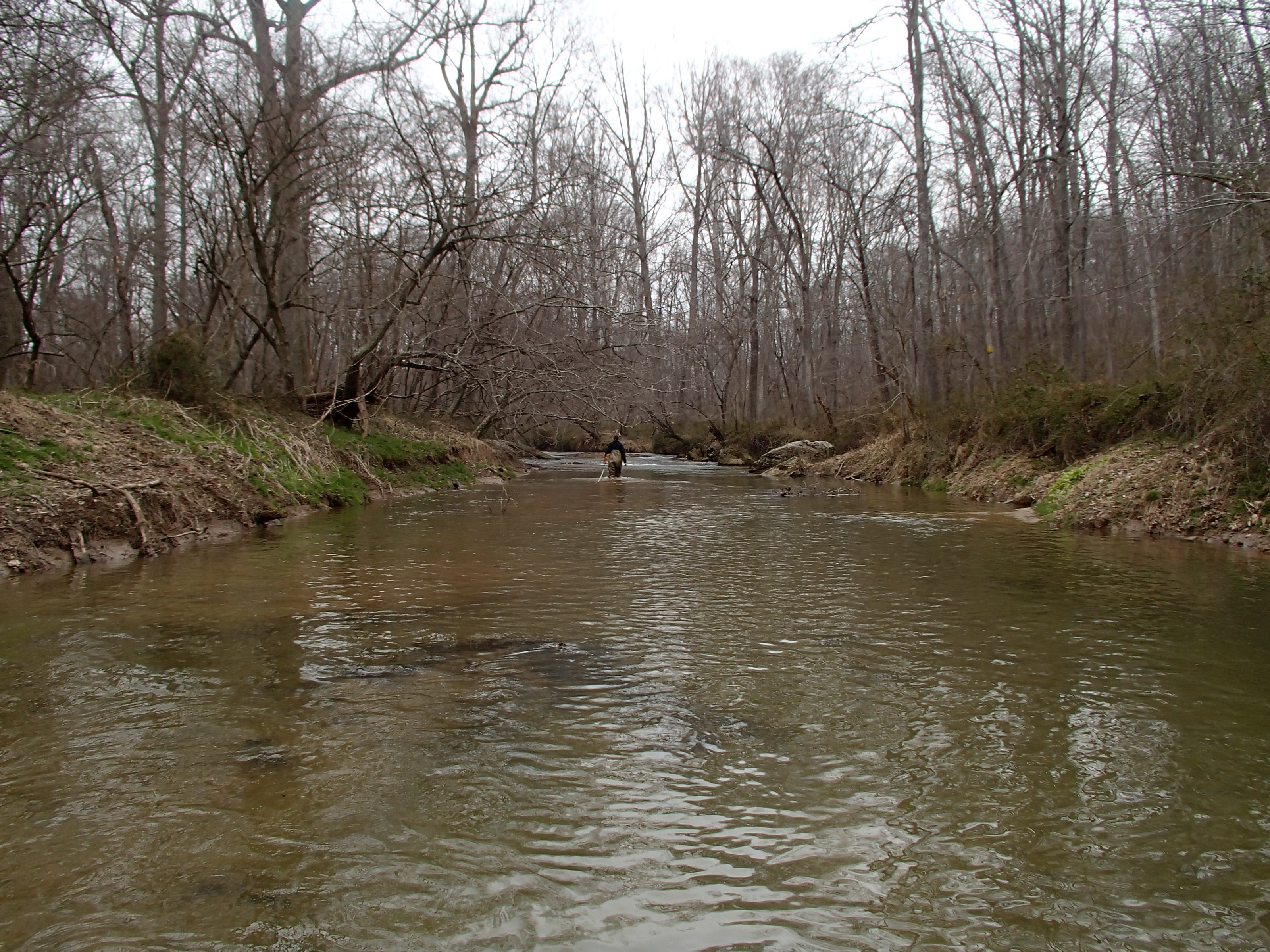 Field photo showing stream conditions at site BRIG-319-R-2017-MidpointLookingUpstream