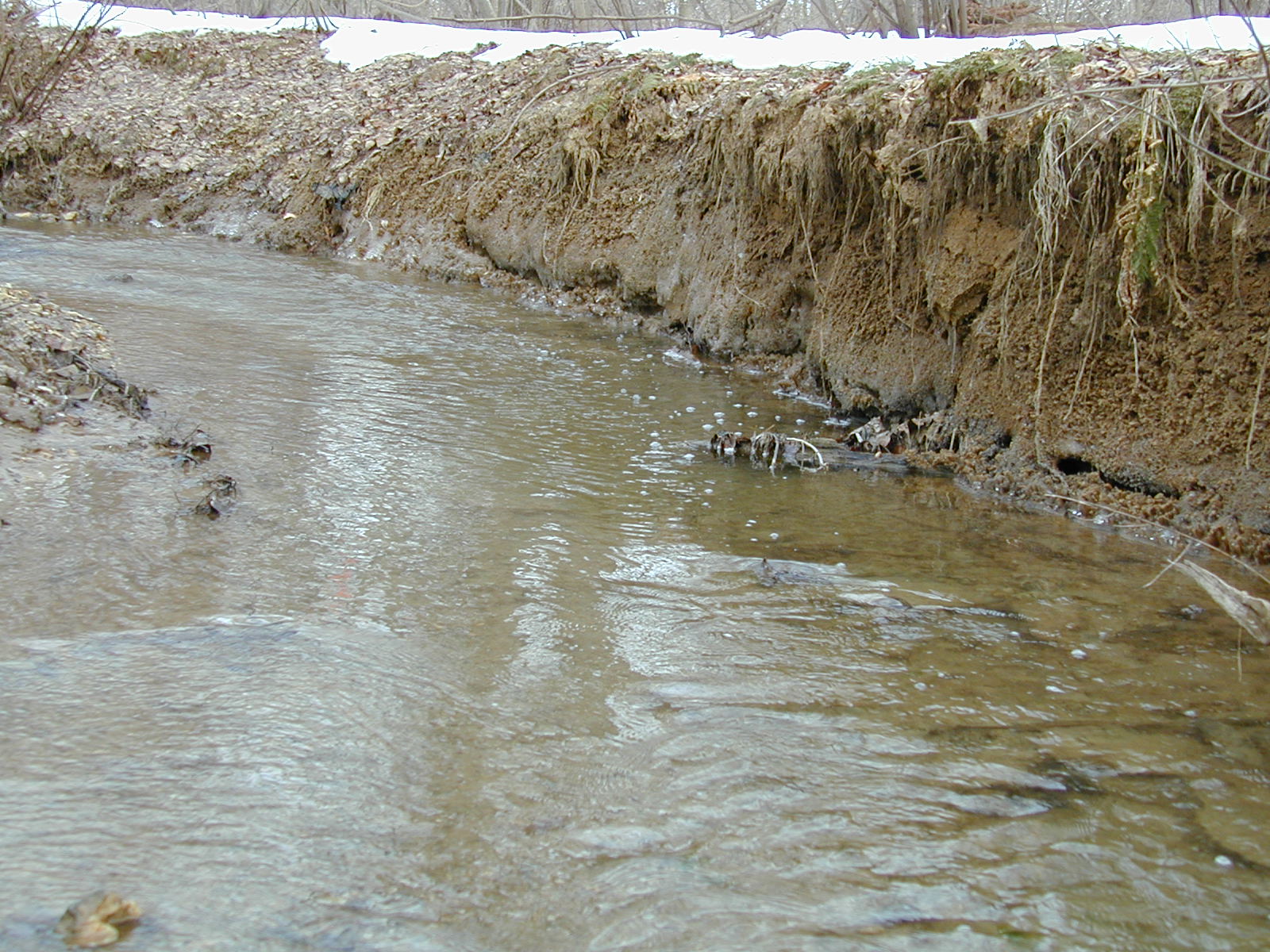 Field photo showing stream conditions at site BROA-101-R-2003-659
