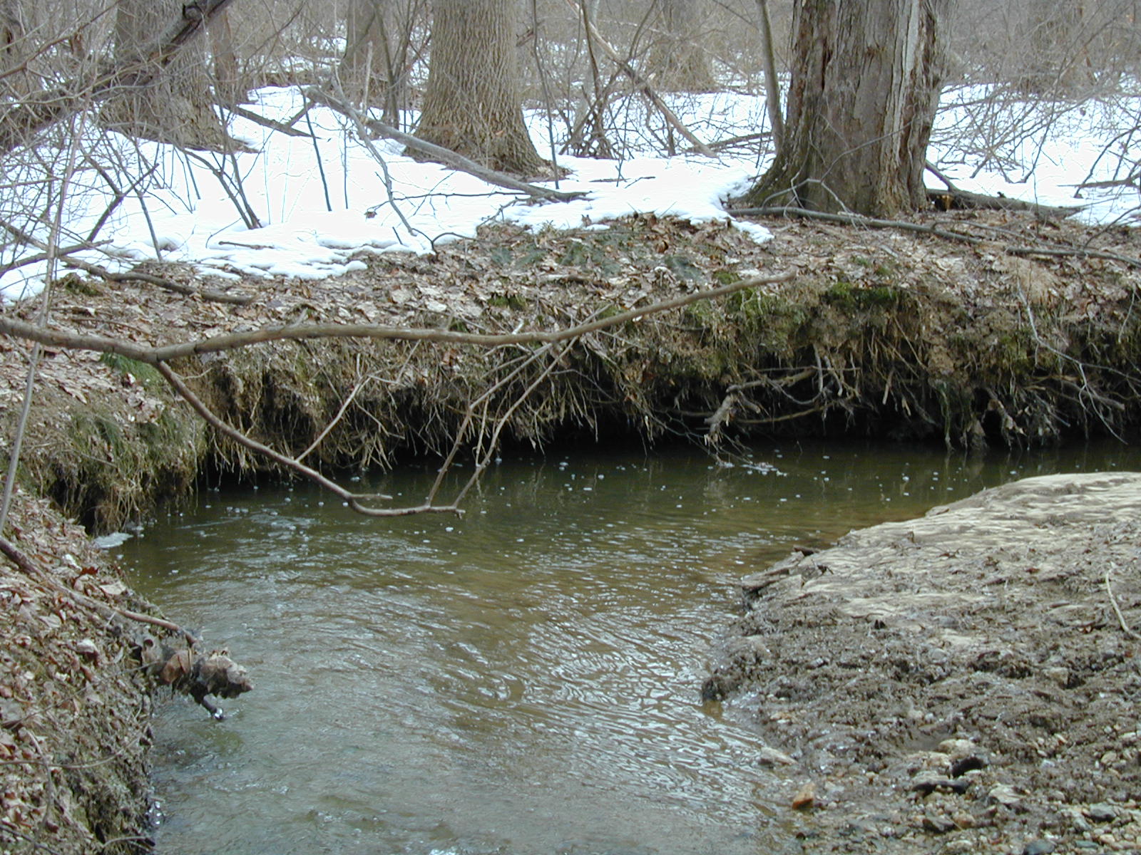 Field photo showing stream conditions at site BROA-101-R-2003-660