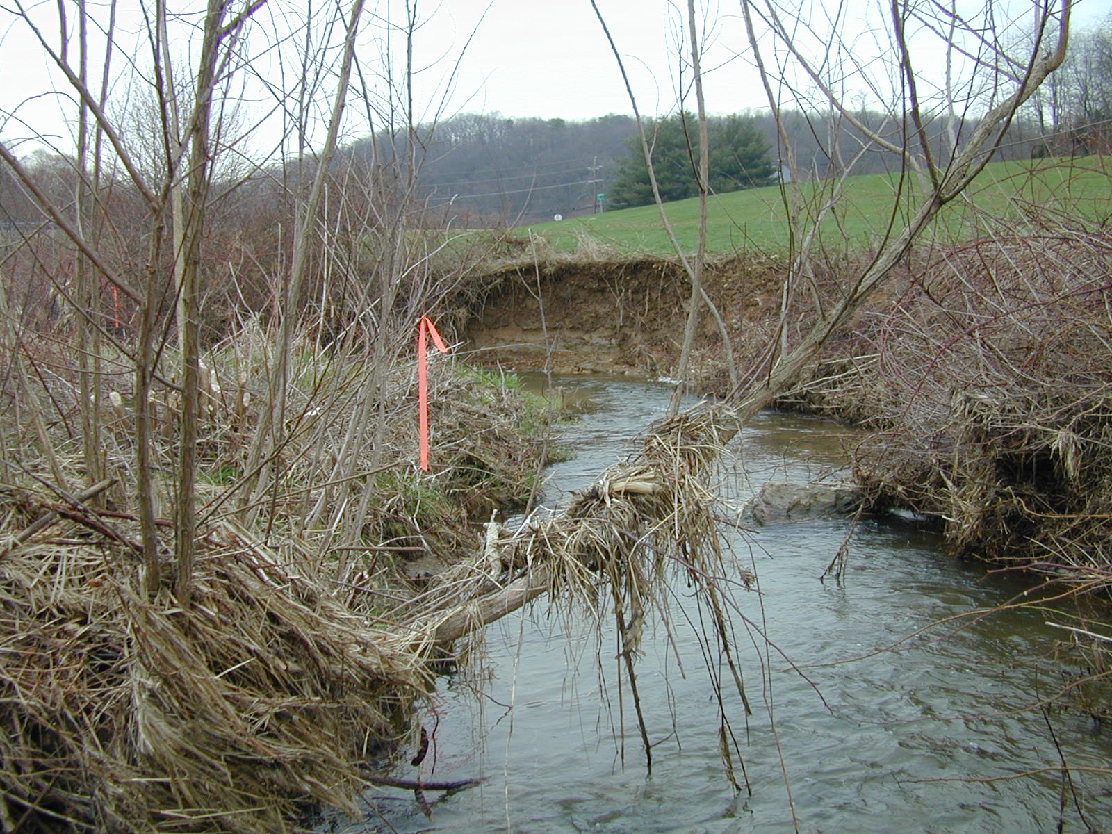 Field photo showing stream conditions at site BROA-103-R-2003-736