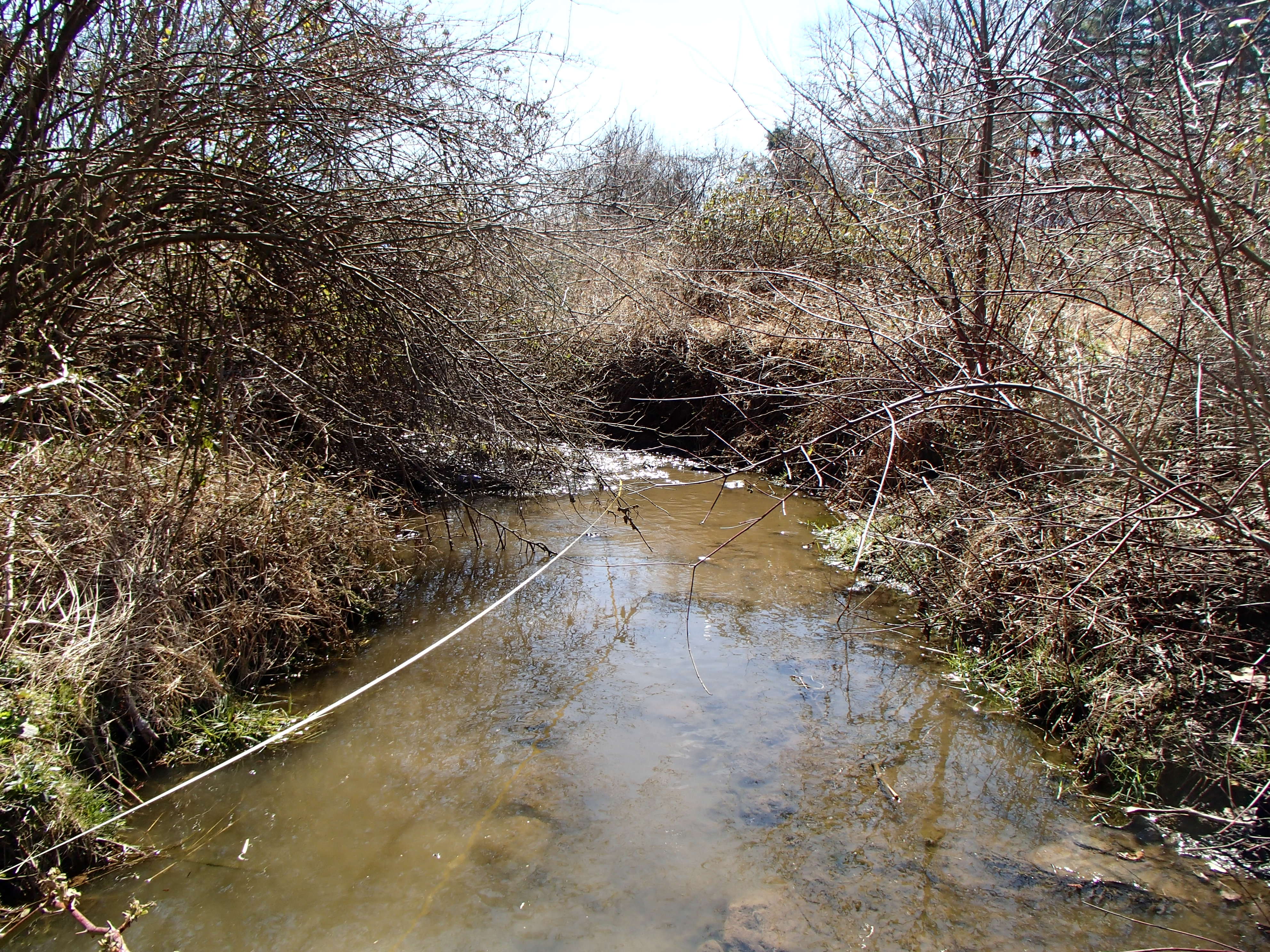 Field photo showing stream conditions at site BROA-104-R-2017-MidpointFacingDownstream