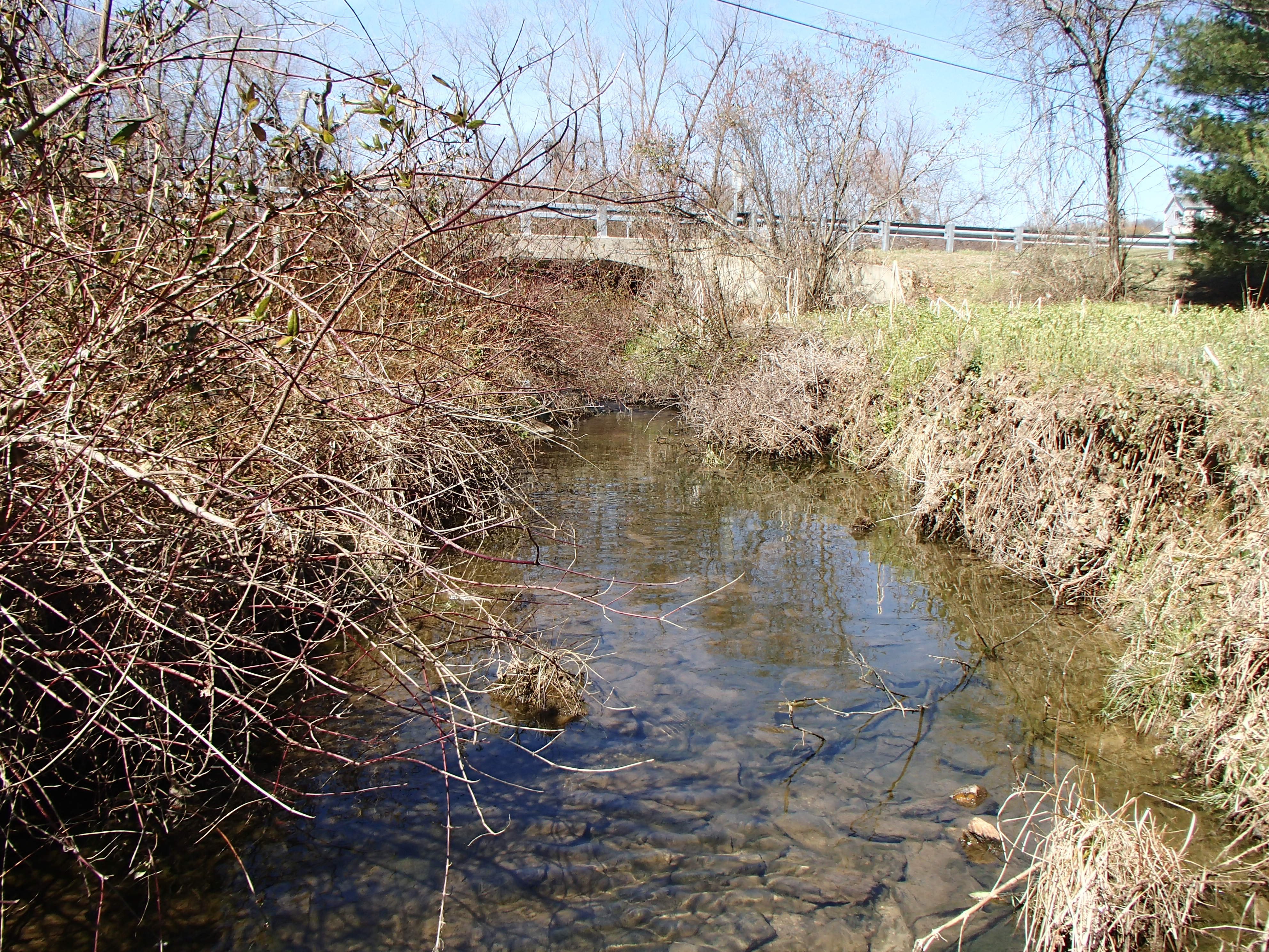 Field photo showing stream conditions at site BROA-104-R-2017-MidpointFacingUpstream