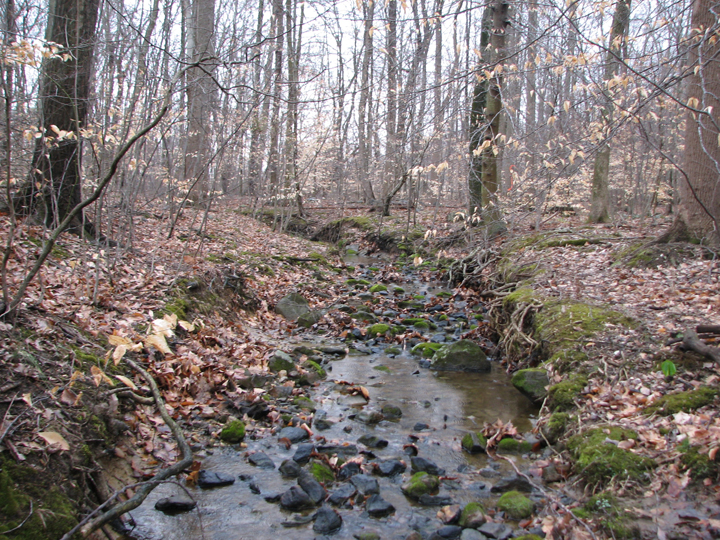 Field photo showing stream conditions at site BROA-105-R-2008-1
