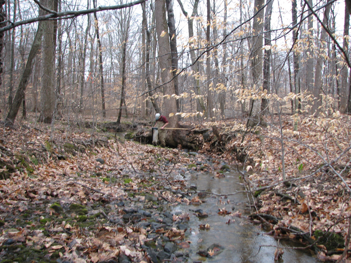 Field photo showing stream conditions at site BROA-105-R-2008-2