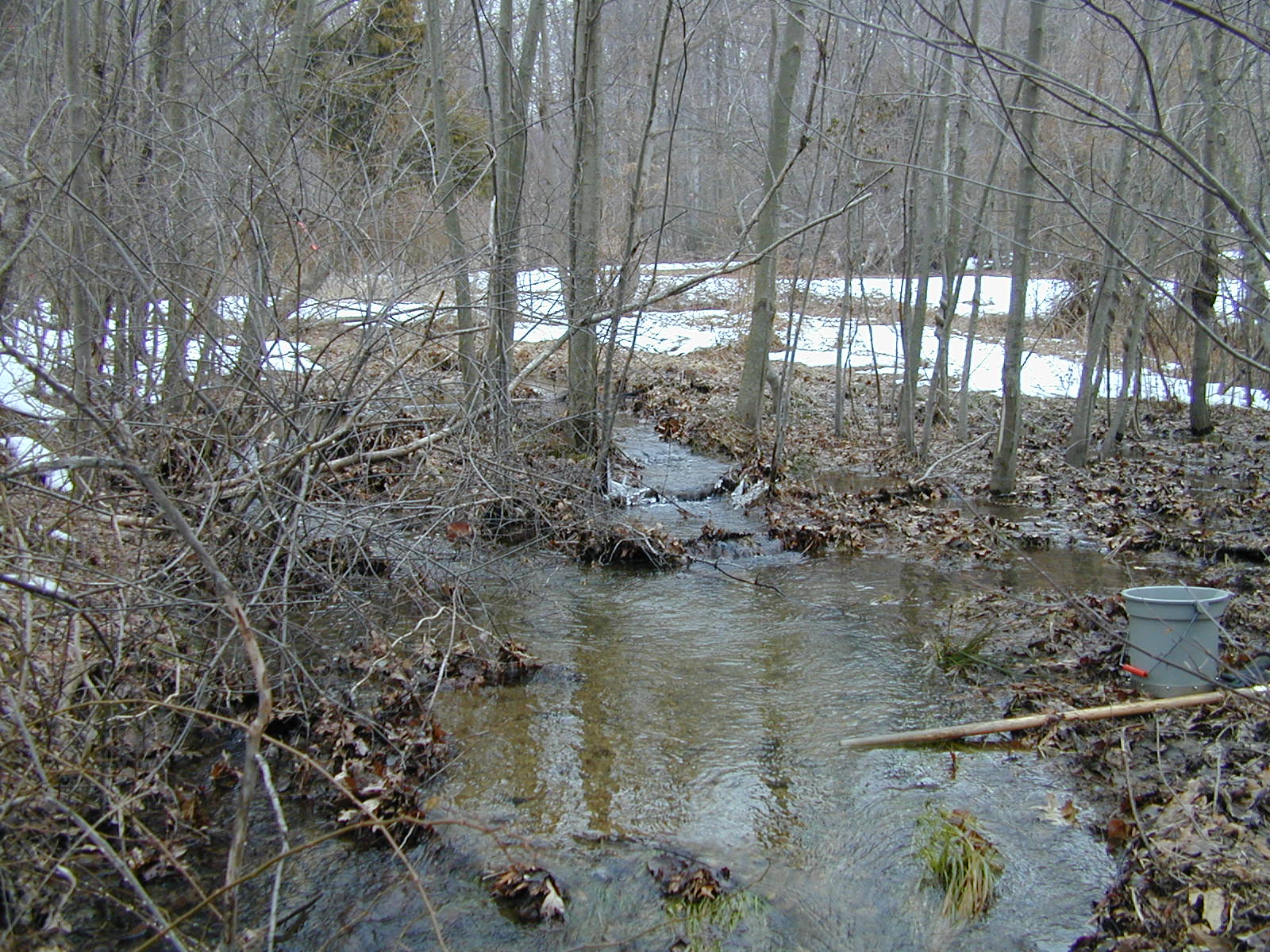 Field photo showing stream conditions at site BROA-107-R-2003-663