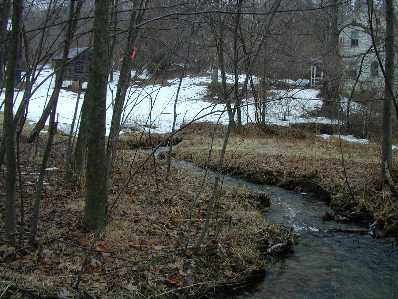 Field photo showing stream conditions at site BROA-107-R-2003-664
