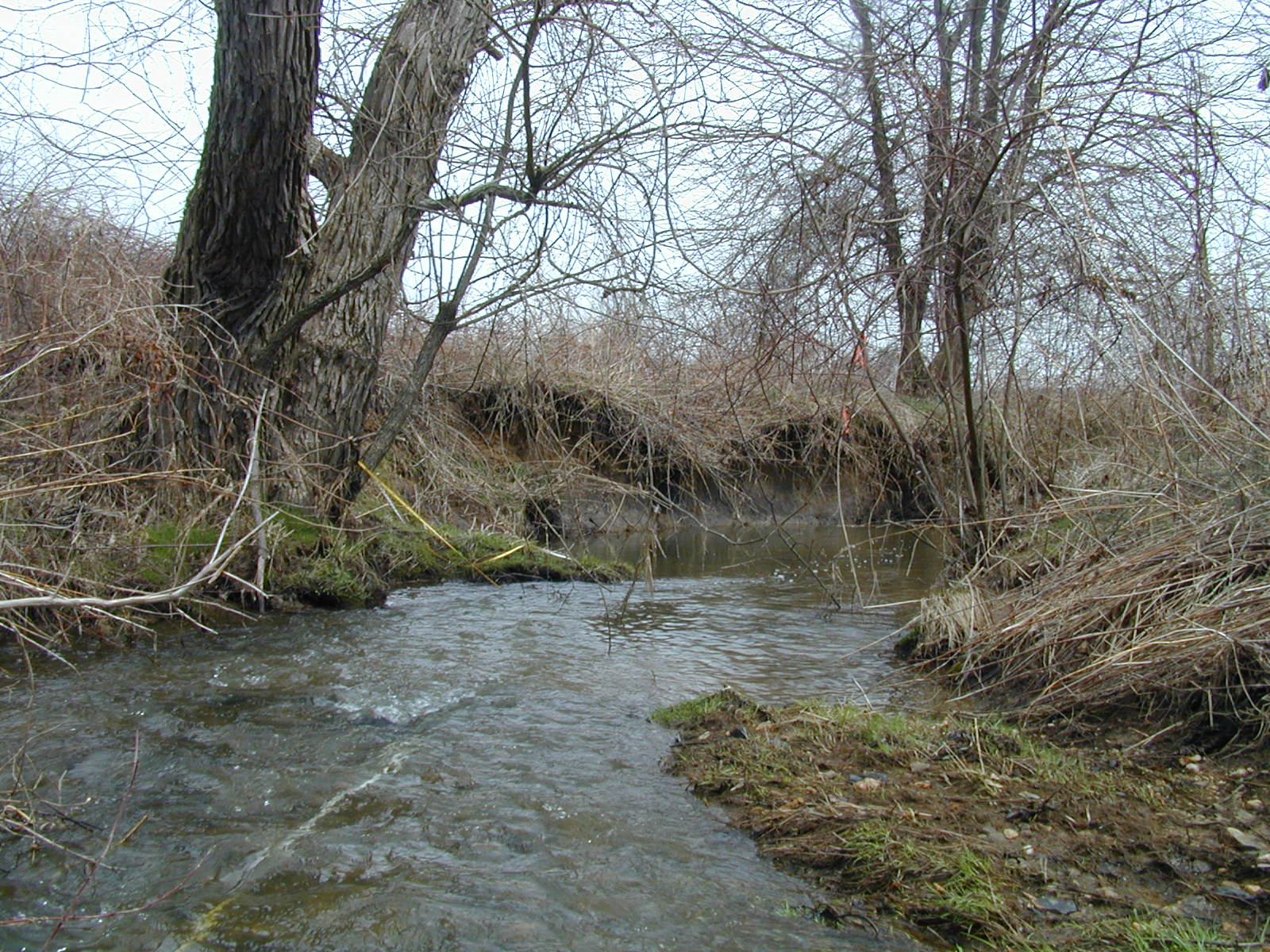 Field photo showing stream conditions at site BROA-116-R-2003-740