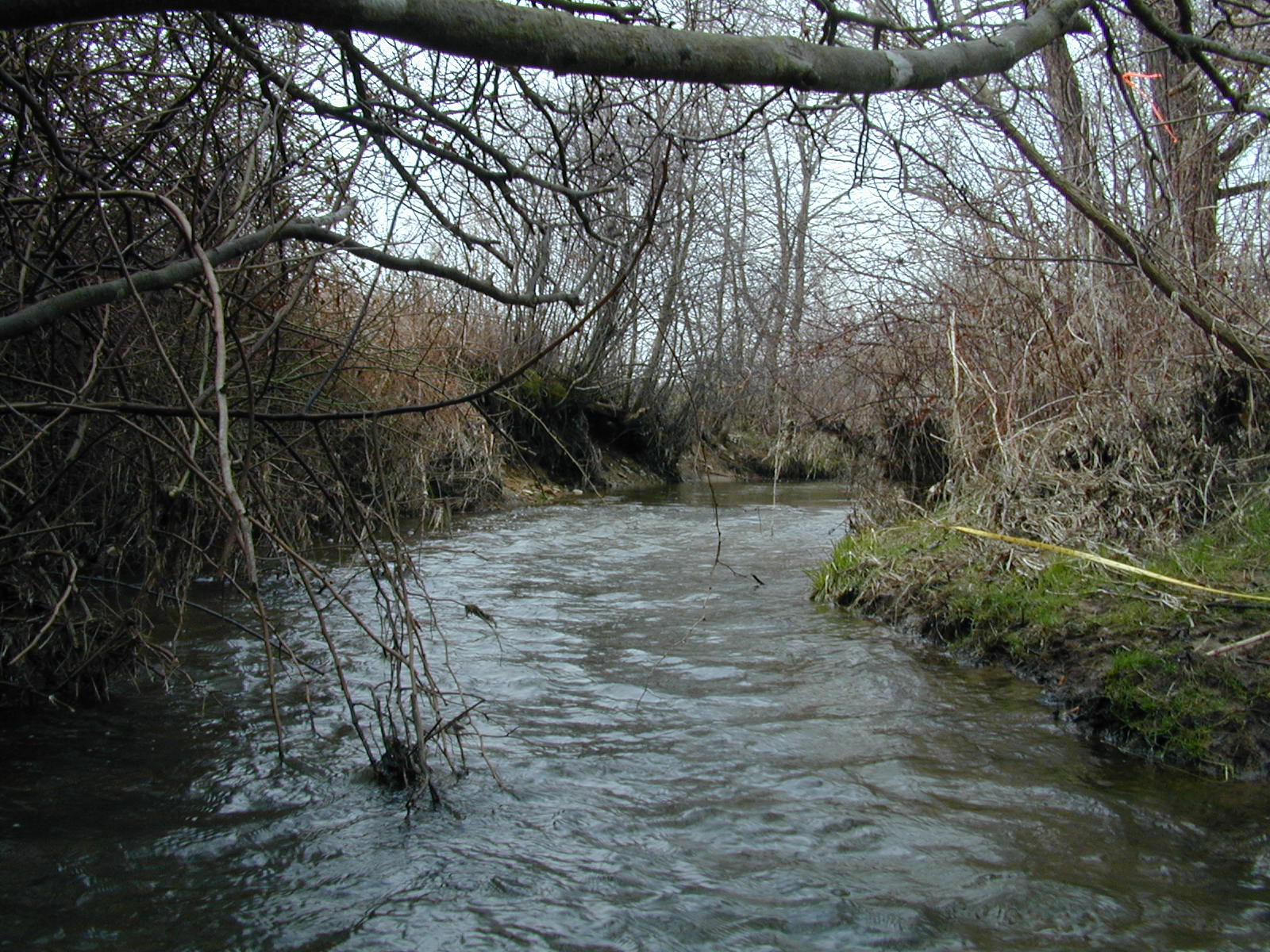 Field photo showing stream conditions at site BROA-116-R-2003-741