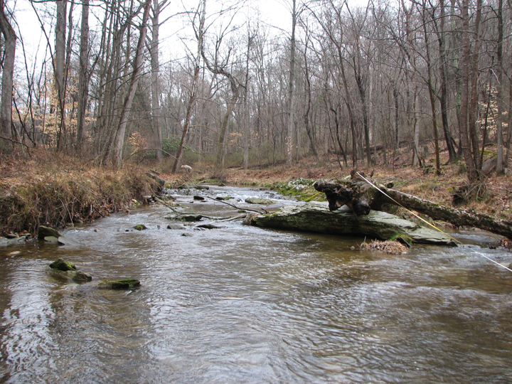 Field photo showing stream conditions at site BROA-212-R-2008-2