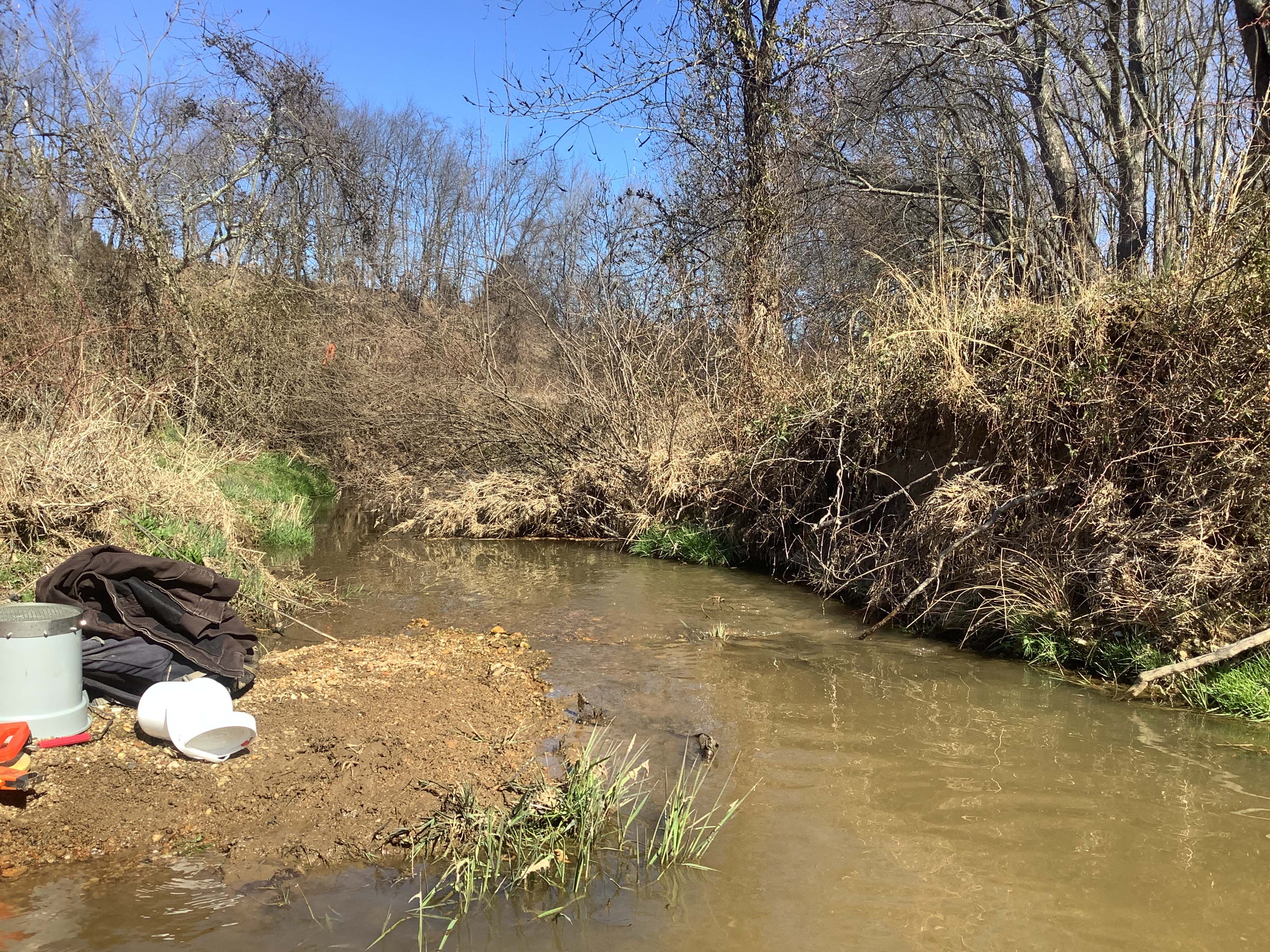Field photo showing stream conditions at site BROA-221-R-2023_Midpoint_facing_downstream