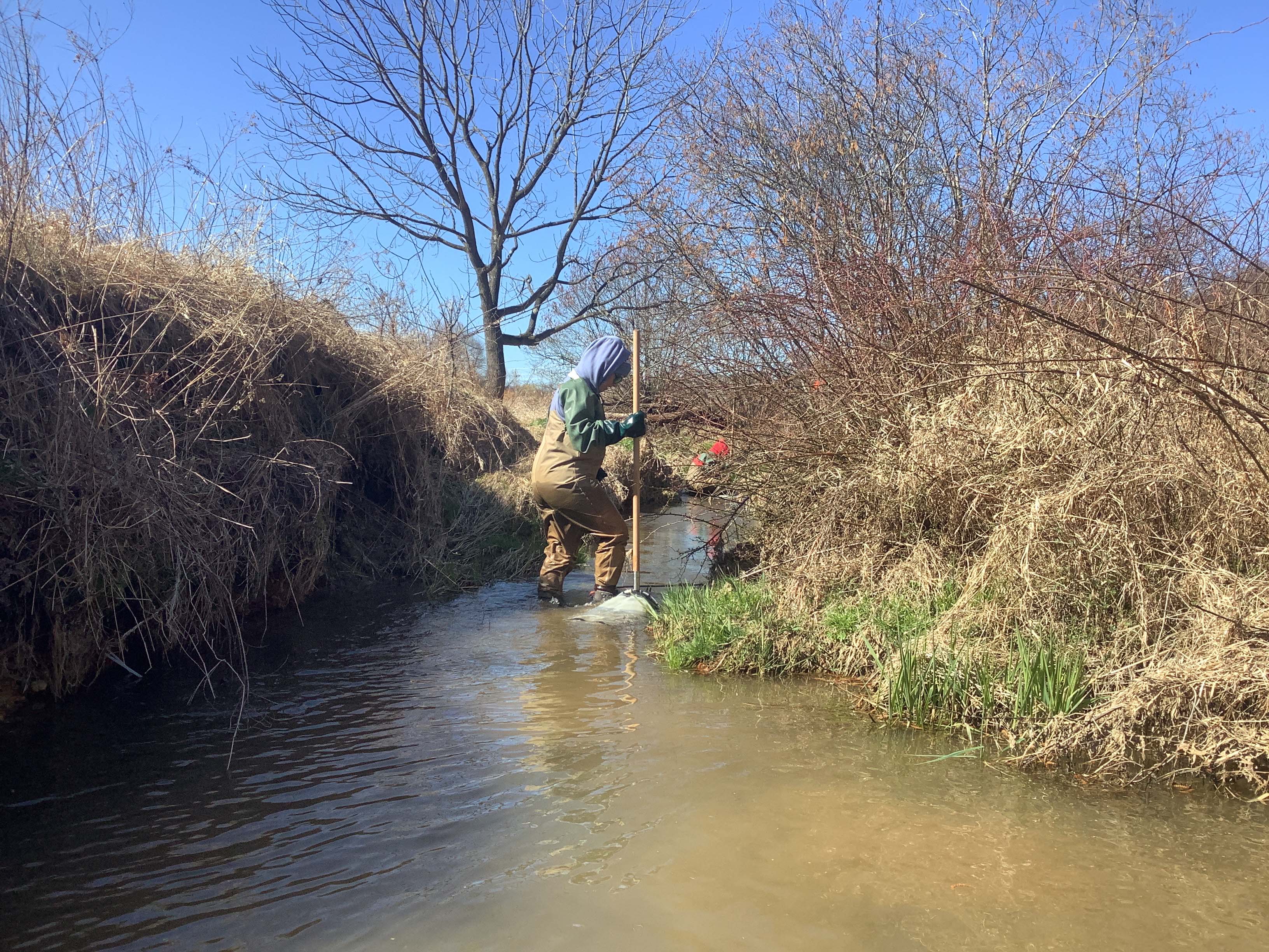 Field photo showing stream conditions at site BROA-221-R-2023_Midpoint_facing_upstream