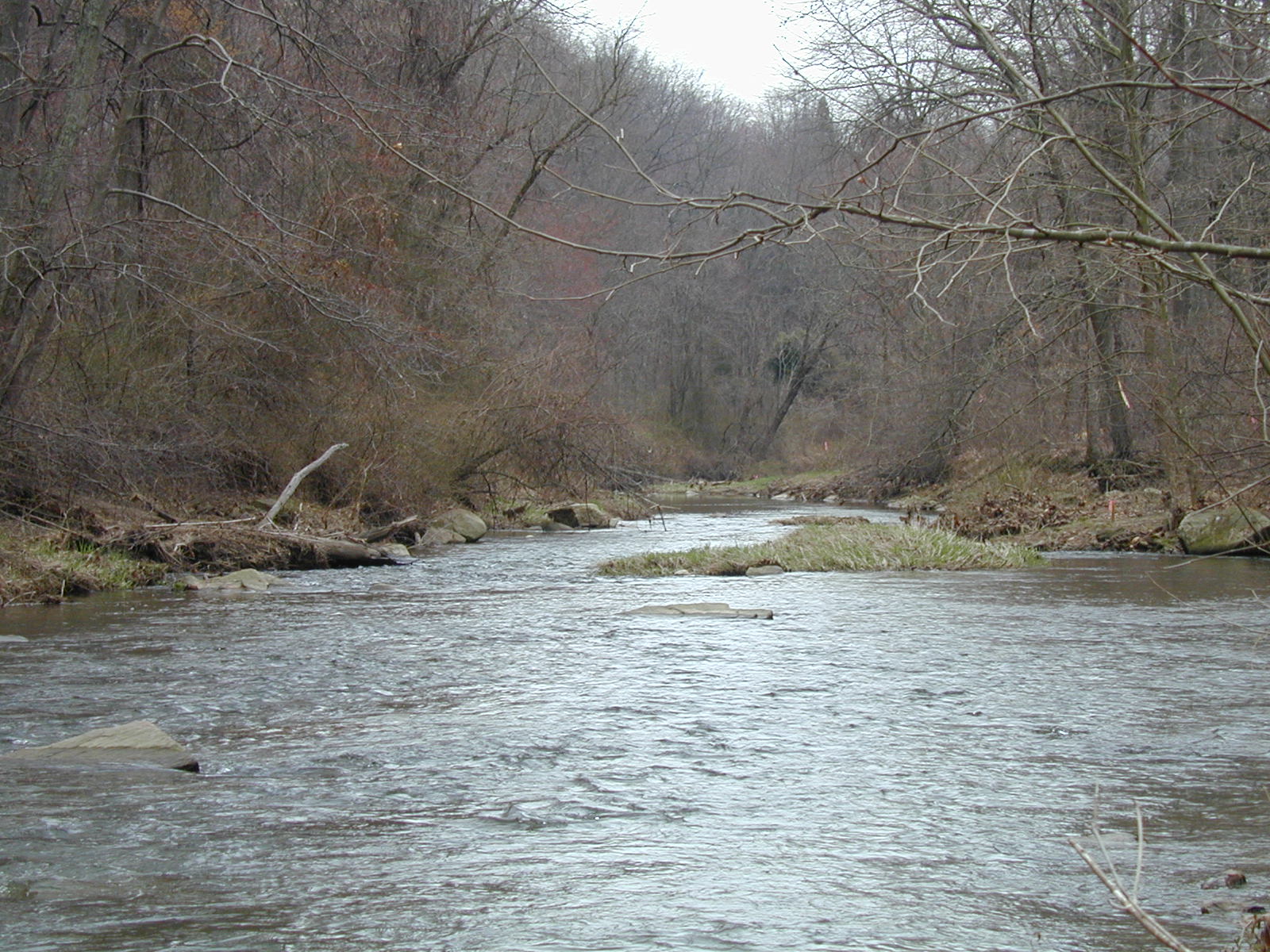Field photo showing stream conditions at site BROA-306-R-2003-337