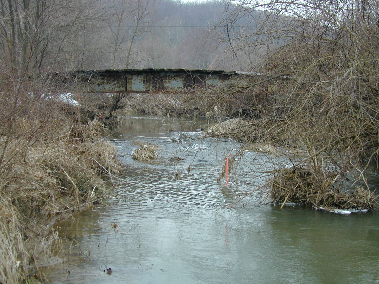 Field photo showing stream conditions at site BROA-312-R-2003-665