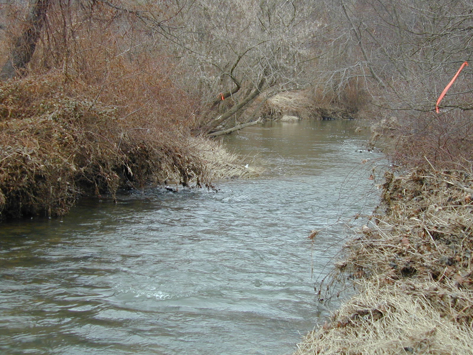 Field photo showing stream conditions at site BROA-312-R-2003-666