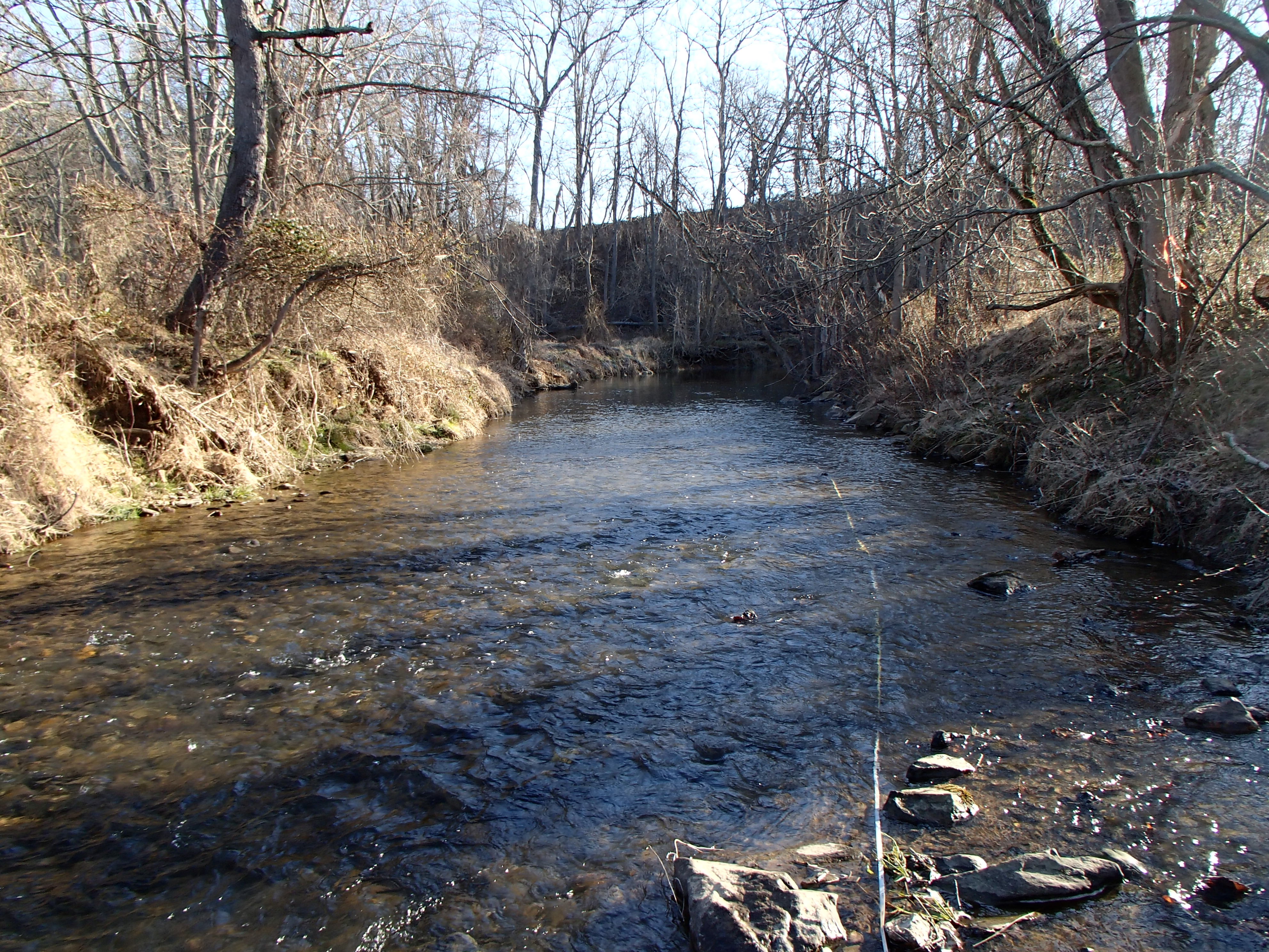 Field photo showing stream conditions at site BROA-312-R-2017-MidpointFacingDownstream