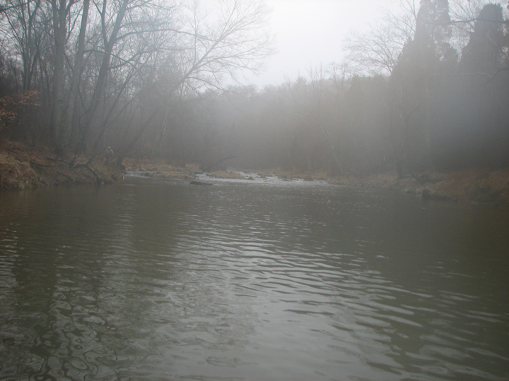 Field photo showing stream conditions at site BROA-314-R-2008-1