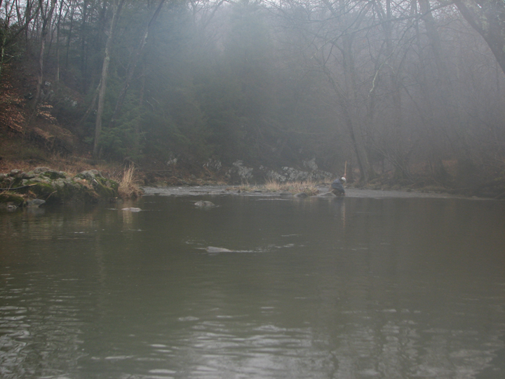 Field photo showing stream conditions at site BROA-314-R-2008-2