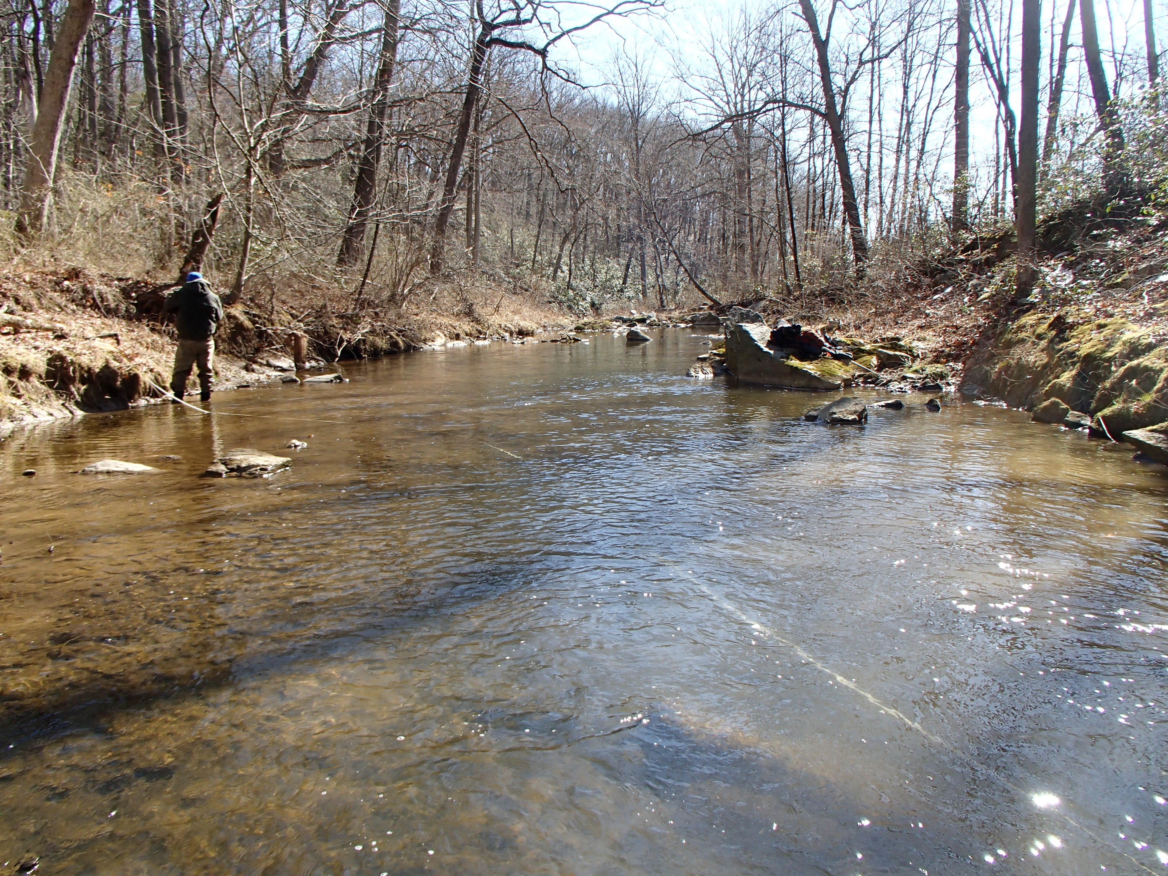 Field photo showing stream conditions at site BROA-318-R-2017-MidpointLookingDownstream