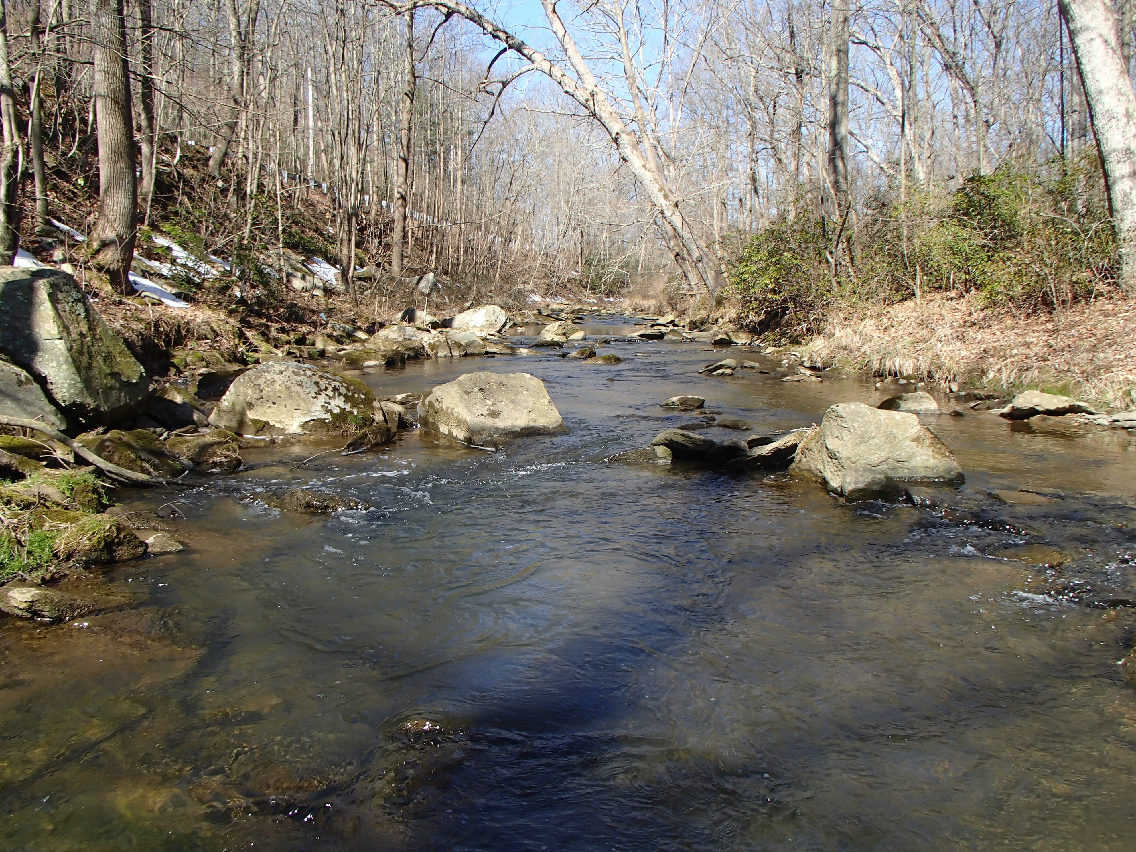 Field photo showing stream conditions at site BROA-318-R-2017-MidpointLookingUpstream