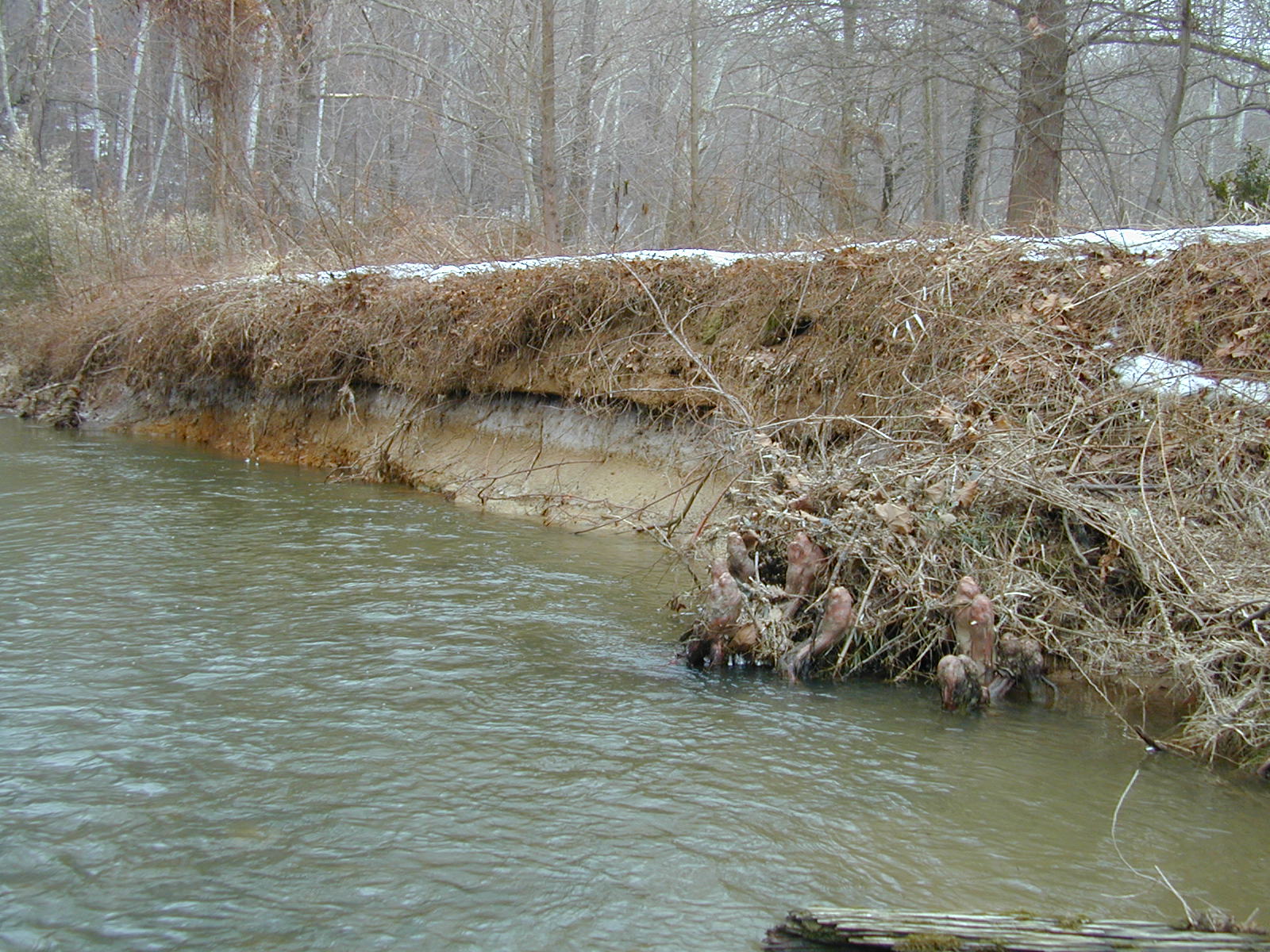 Field photo showing stream conditions at site BROA-319-R-2003-669