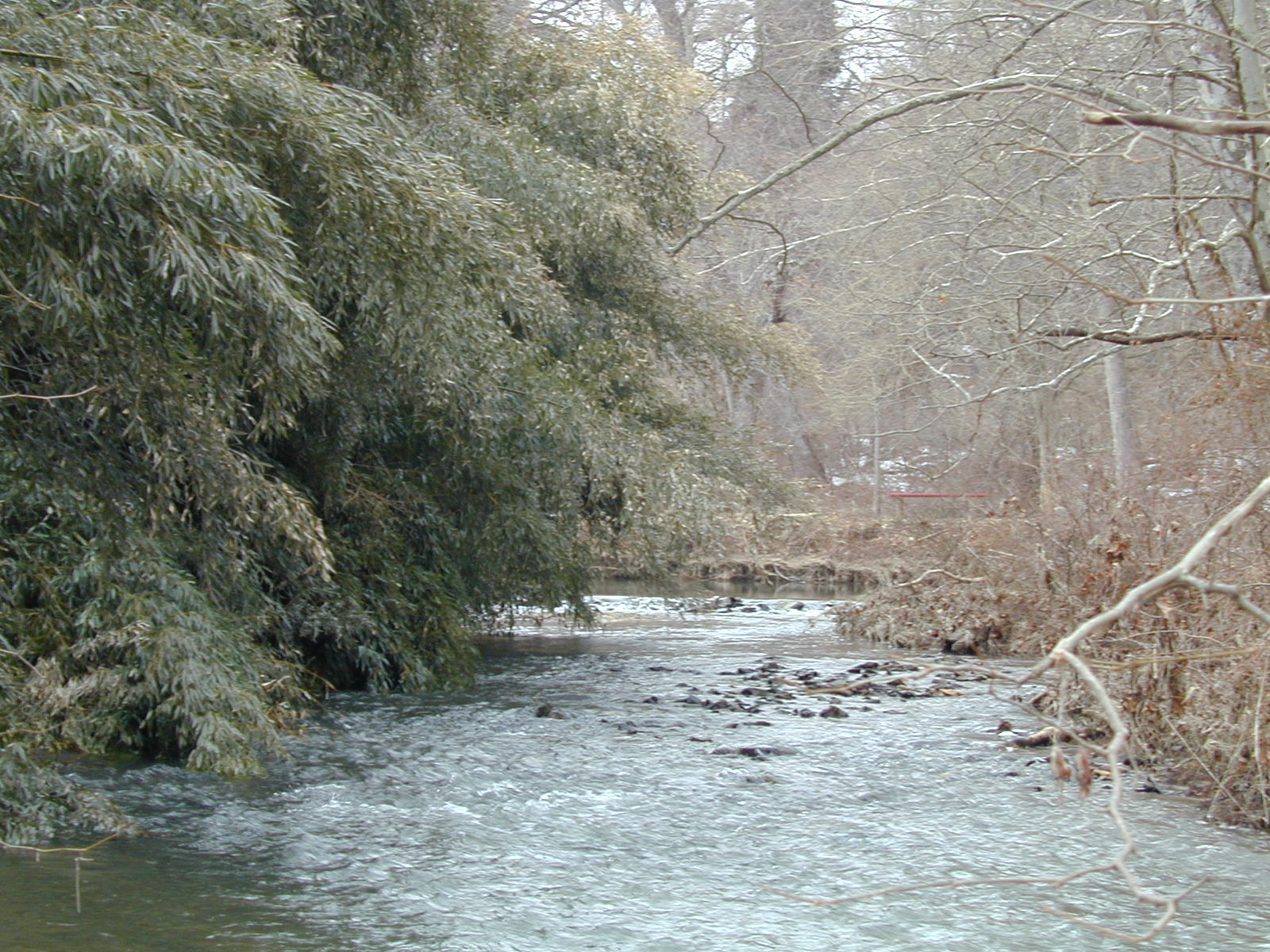 Field photo showing stream conditions at site BROA-319-R-2003-670