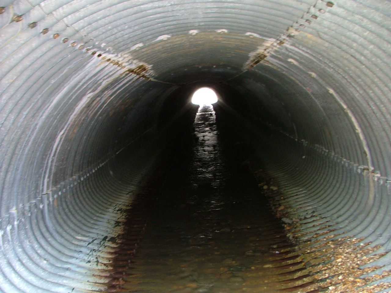 Field photo showing stream conditions at site BUSH-101-R-2004-1