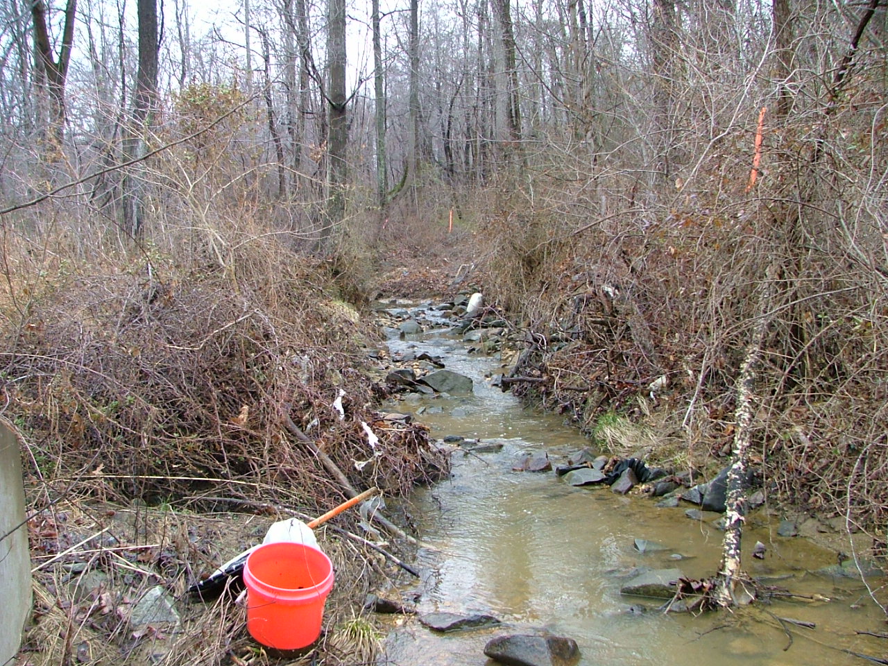 Field photo showing stream conditions at site BUSH-101-R-2004-2